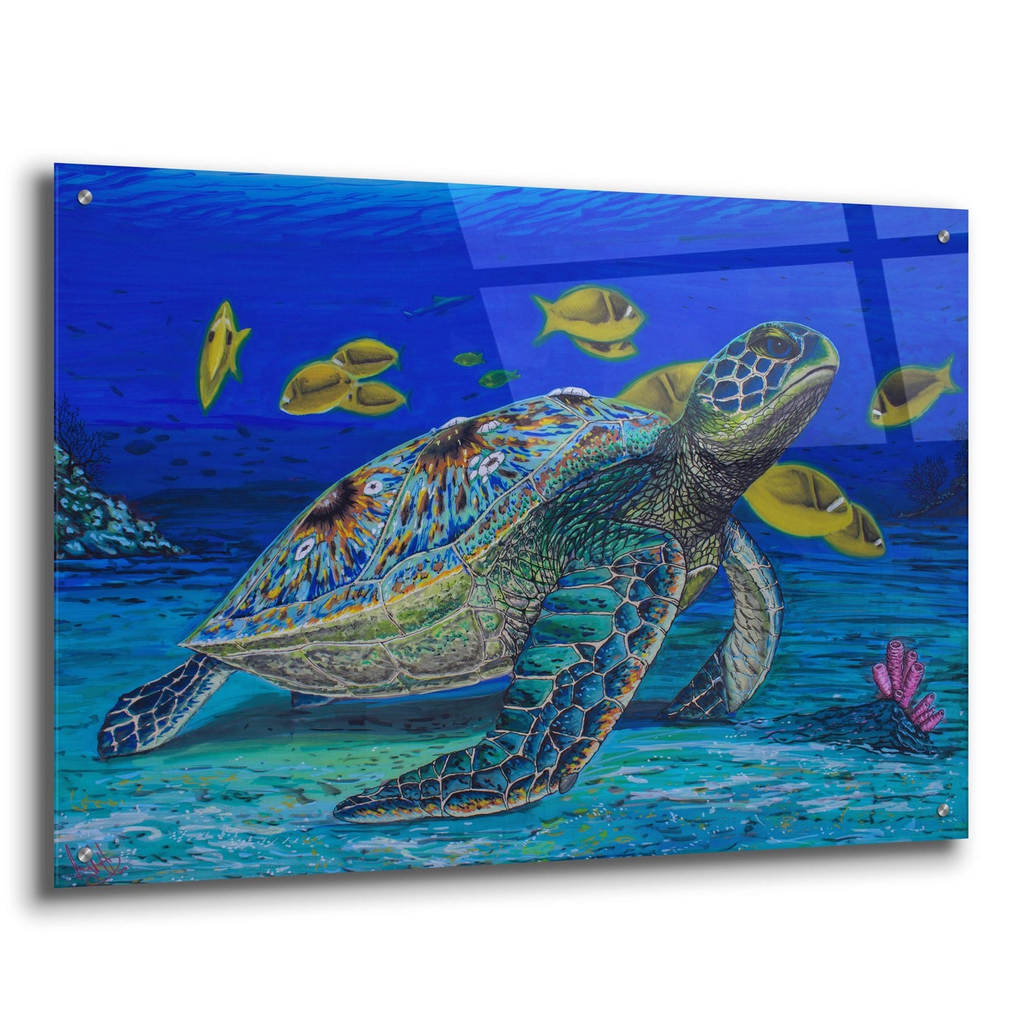 Epic Art 'Turtle Tale' by Martin Nasim, Acrylic Glass Wall Art,36x24