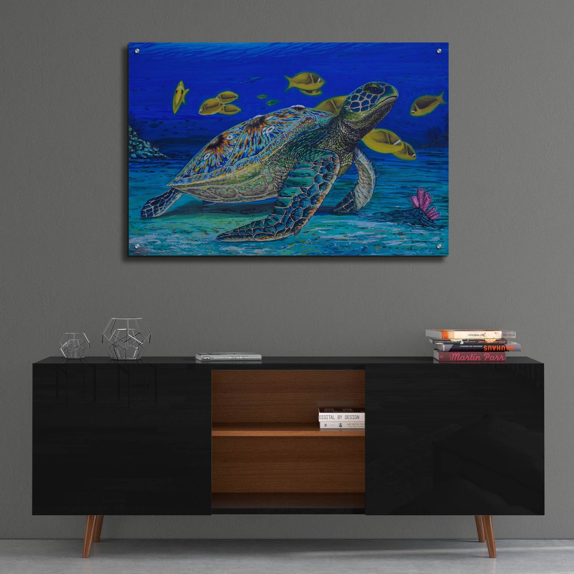 Epic Art 'Turtle Tale' by Martin Nasim, Acrylic Glass Wall Art,36x24