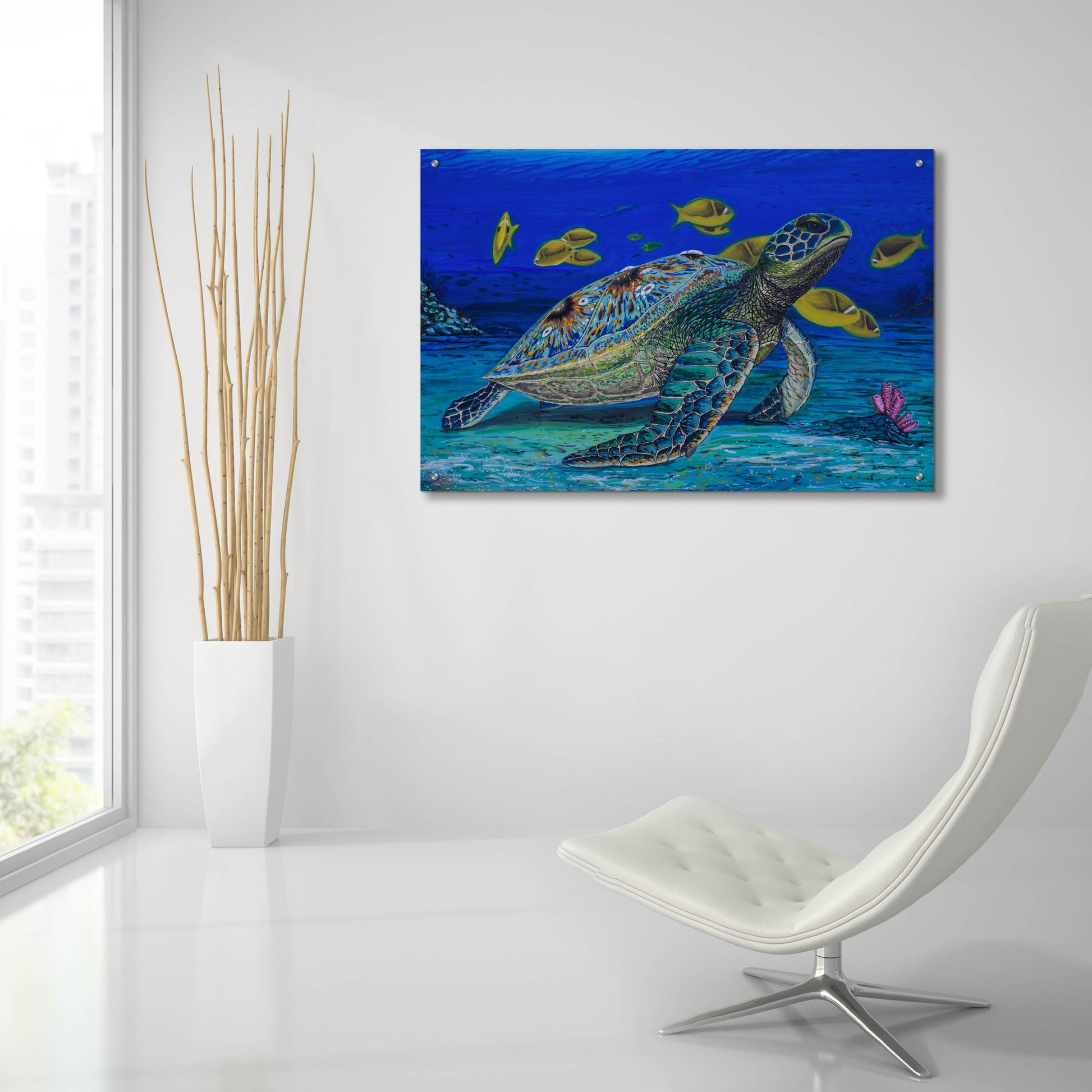 Epic Art 'Turtle Tale' by Martin Nasim, Acrylic Glass Wall Art,36x24