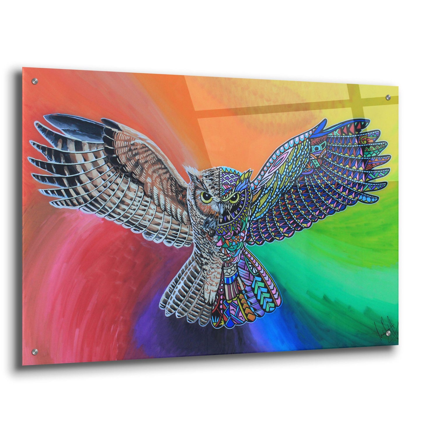 Epic Art 'Animals Of Pride - Owl' by Martin Nasim, Acrylic Glass Wall Art,36x24