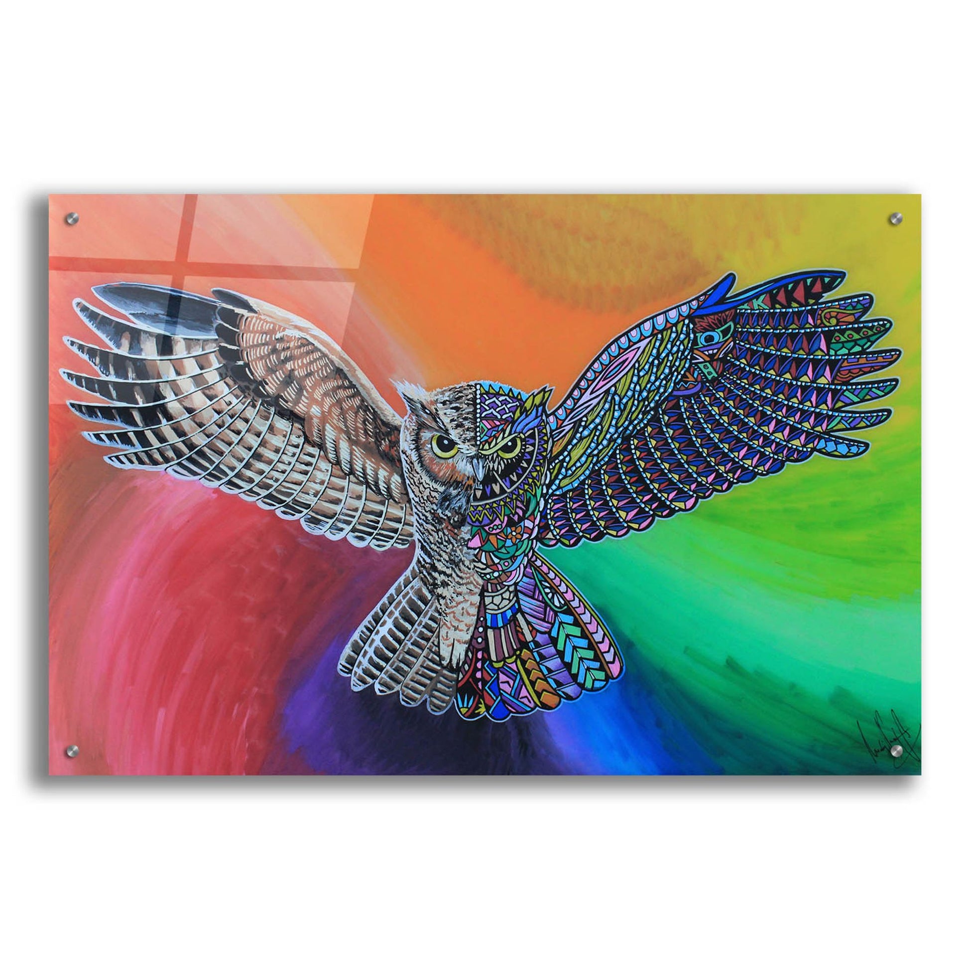 Epic Art 'Animals Of Pride - Owl' by Martin Nasim, Acrylic Glass Wall Art,36x24