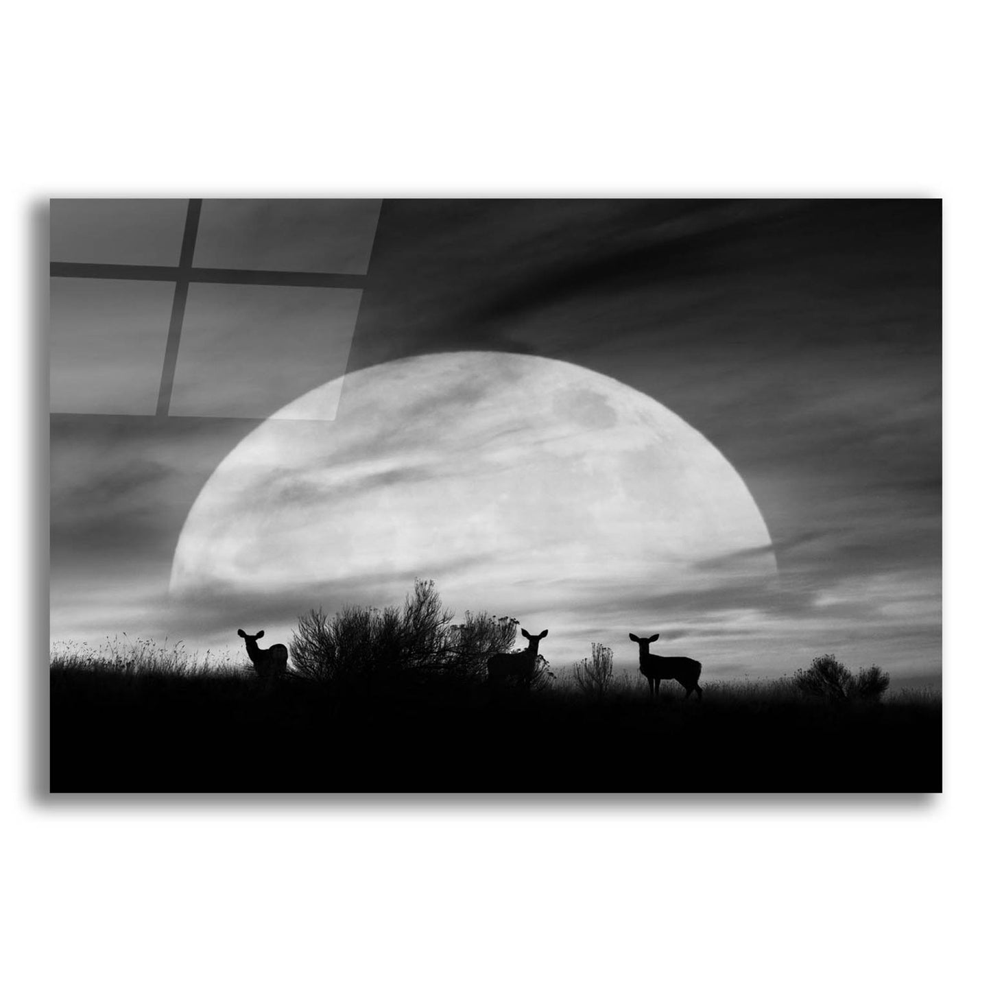 Epic Art 'Moonlight Silhouette, Farmington Hills, Michigan 12' by Monte Nagler, Acrylic Glass Wall Art