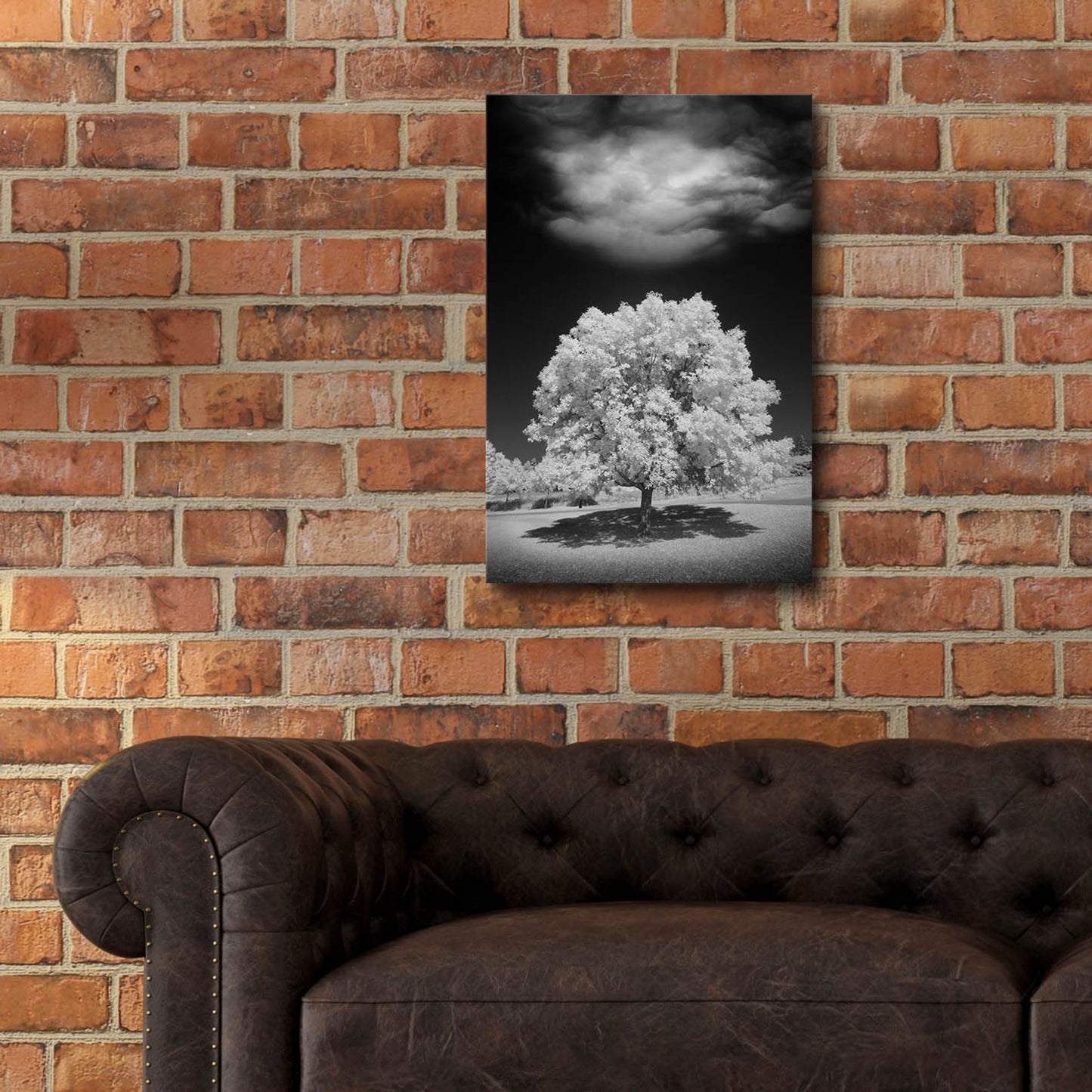 Epic Art 'Lone Tree & Cloud, Green Bay, Wisconsin 12' by Monte Nagler, Acrylic Glass Wall Art,16x24