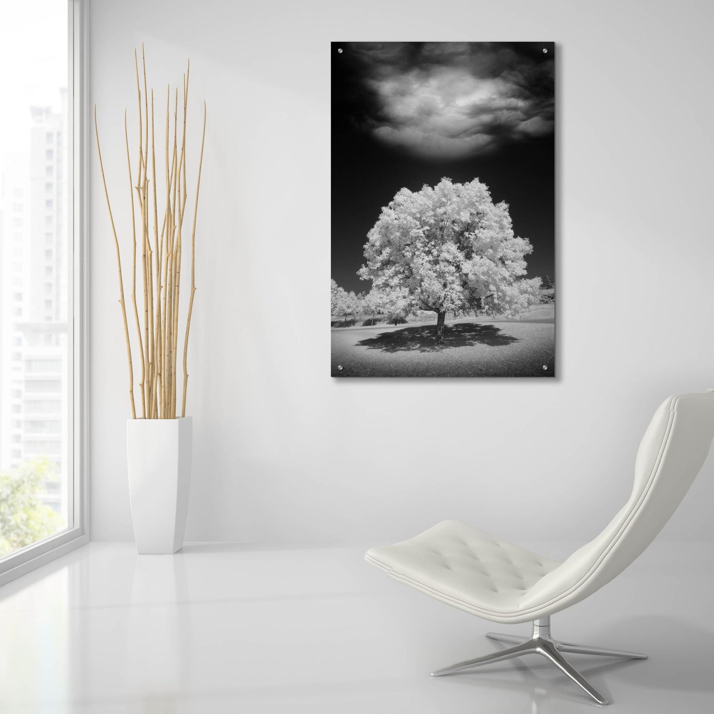 Epic Art 'Lone Tree & Cloud, Green Bay, Wisconsin 12' by Monte Nagler, Acrylic Glass Wall Art,24x36