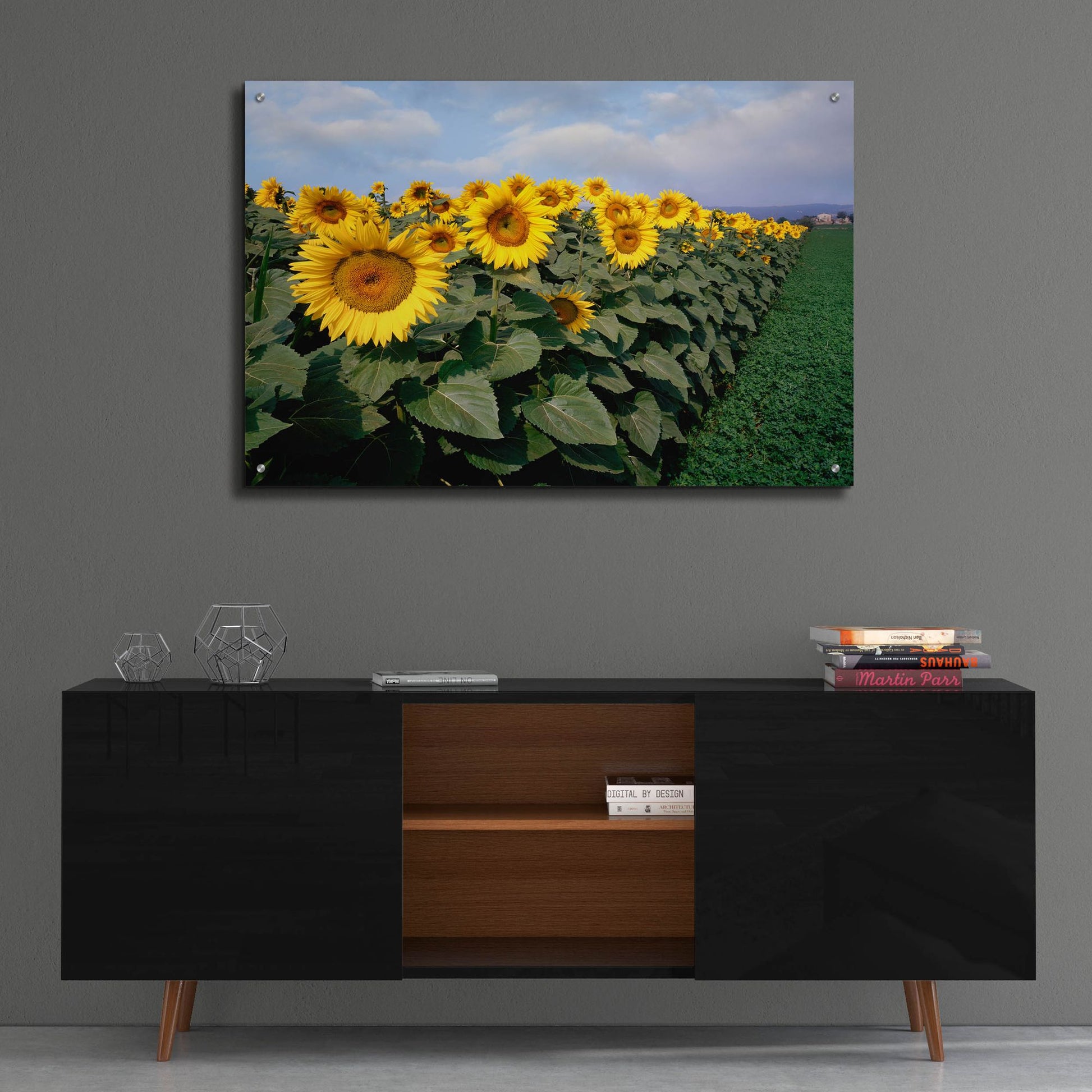 Epic Art 'Sunflowers Sentinels, Rome, Italy 87' by Monte Nagler, Acrylic Glass Wall Art,36x24