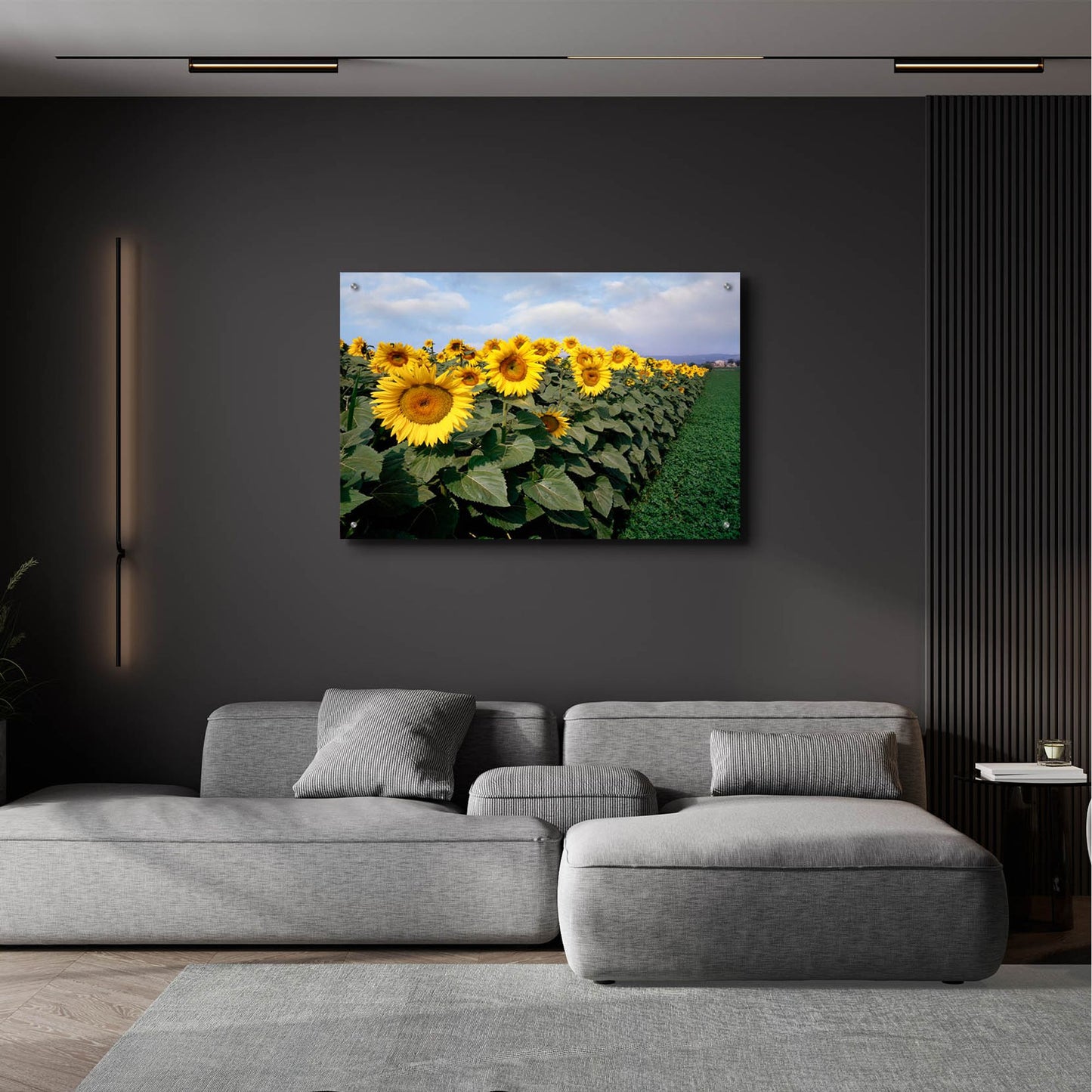 Epic Art 'Sunflowers Sentinels, Rome, Italy 87' by Monte Nagler, Acrylic Glass Wall Art,36x24