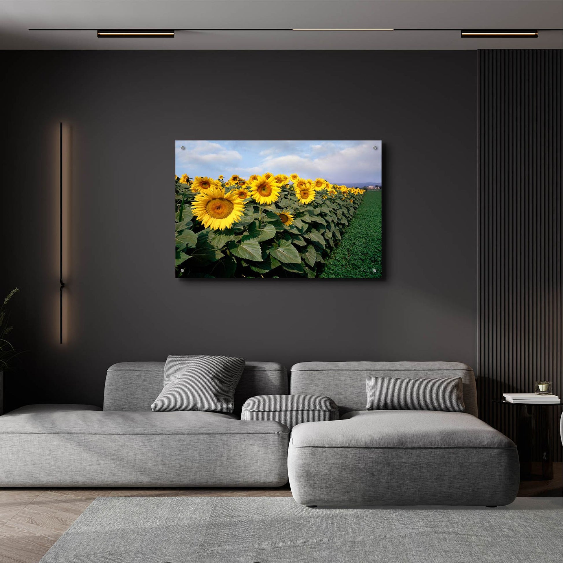 Epic Art 'Sunflowers Sentinels, Rome, Italy 87' by Monte Nagler, Acrylic Glass Wall Art,36x24