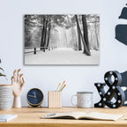 Epic Art 'Winter's Path' by Monte Nagler, Acrylic Glass Wall Art,16x12