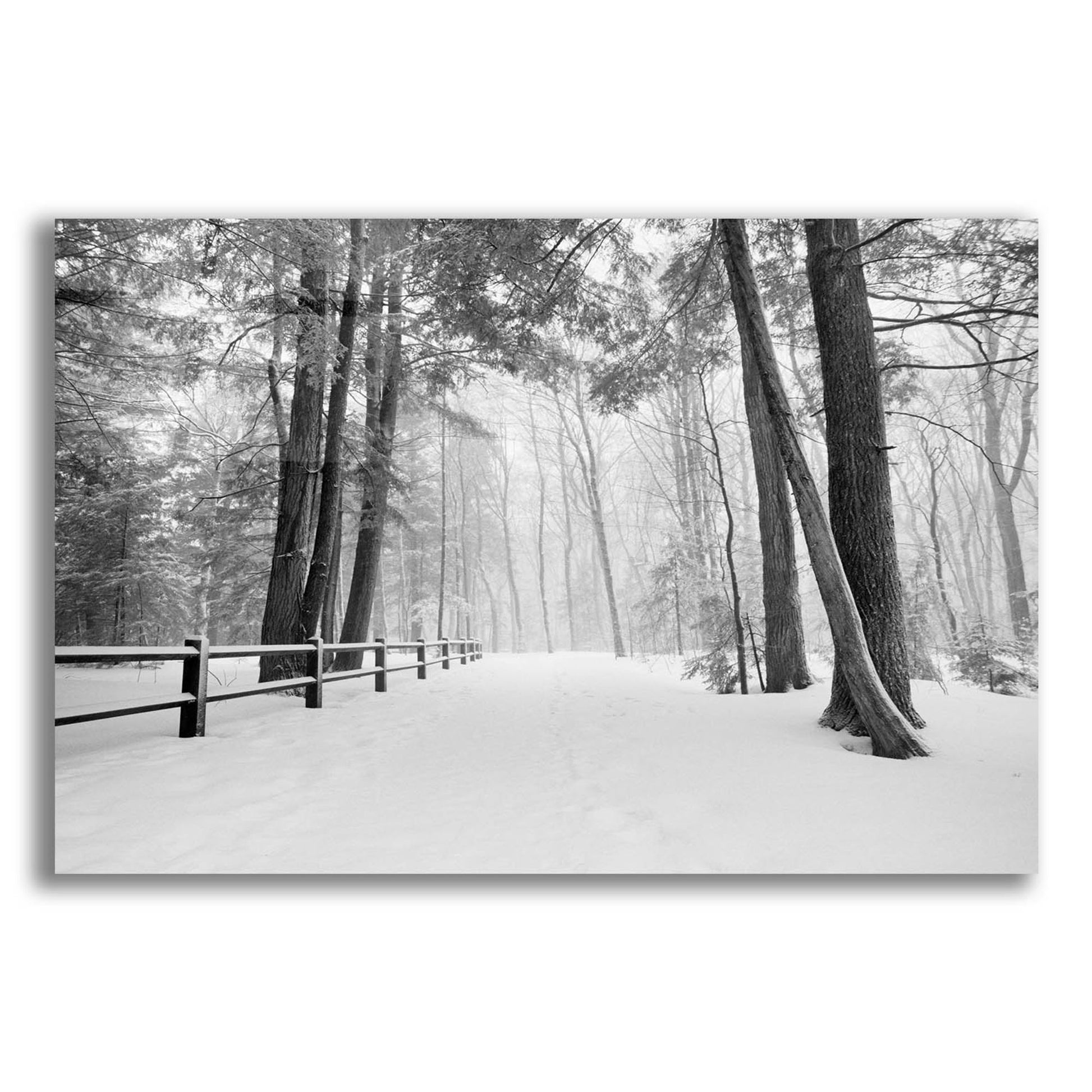 Epic Art 'Winter's Path' by Monte Nagler, Acrylic Glass Wall Art,16x12