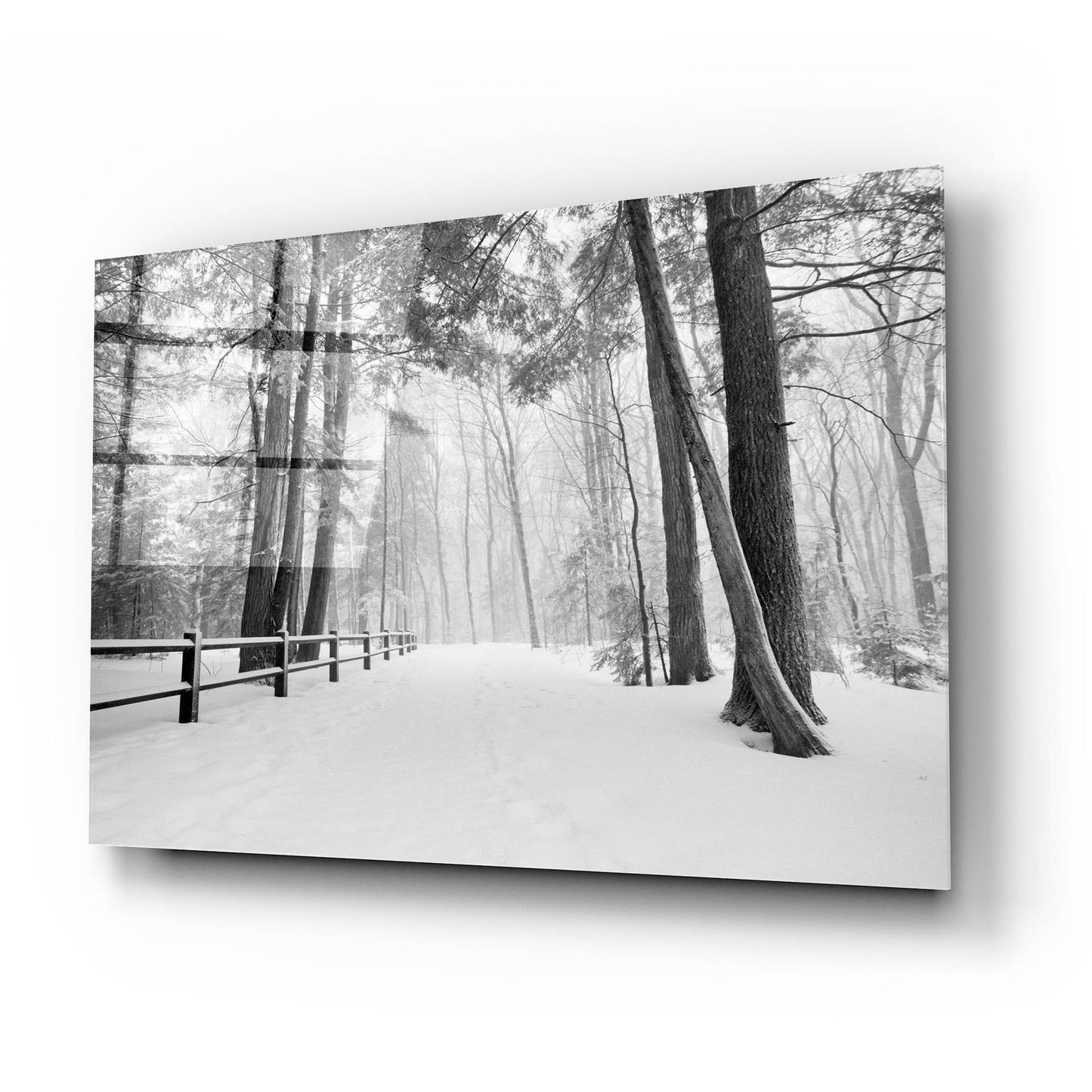 Epic Art 'Winter's Path' by Monte Nagler, Acrylic Glass Wall Art,24x16