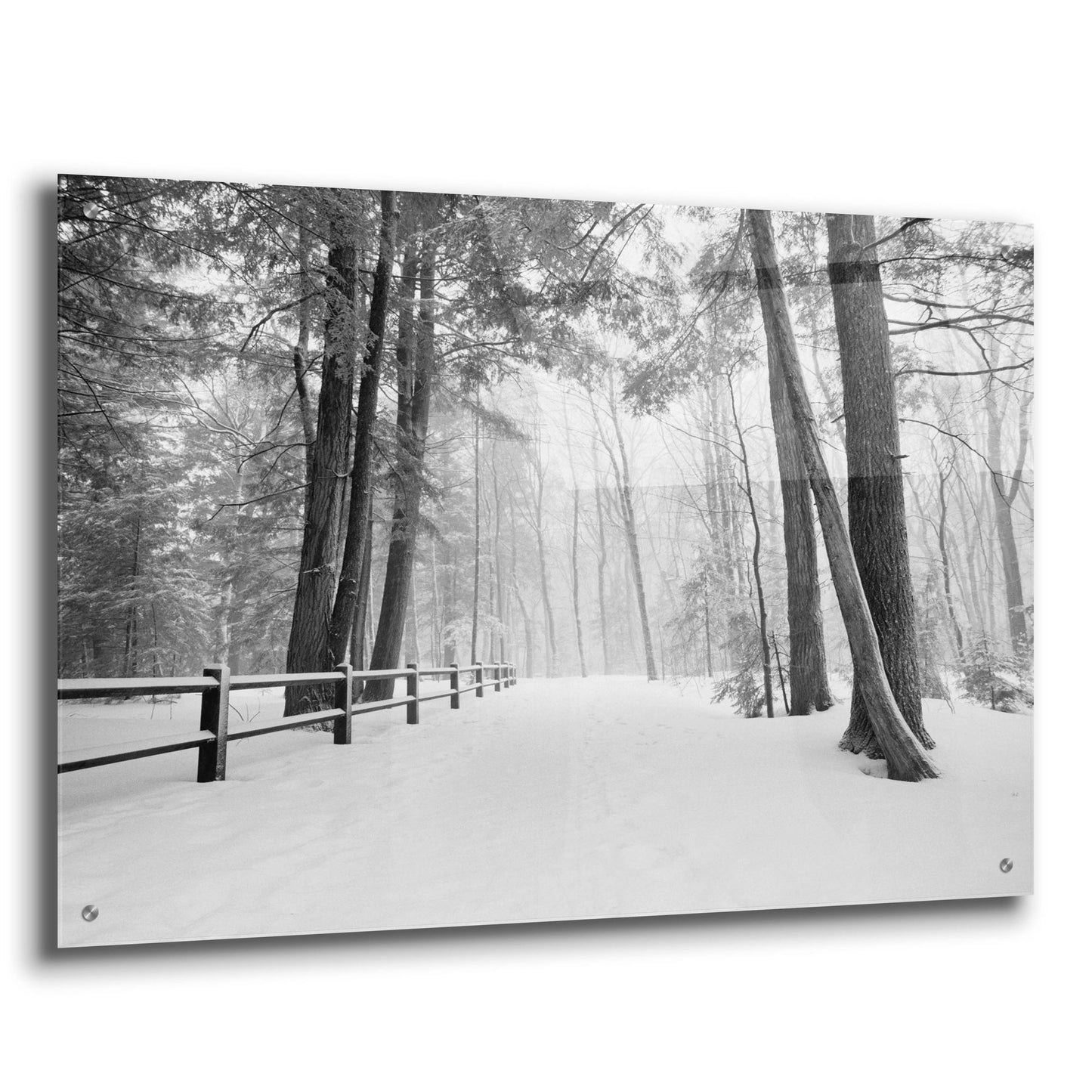 Epic Art 'Winter's Path' by Monte Nagler, Acrylic Glass Wall Art,36x24