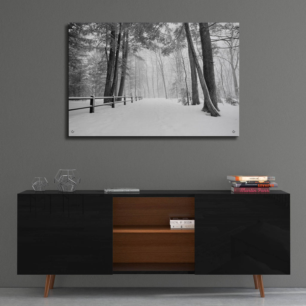 Epic Art 'Winter's Path' by Monte Nagler, Acrylic Glass Wall Art,36x24