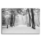 Epic Art 'Winter's Path' by Monte Nagler, Acrylic Glass Wall Art