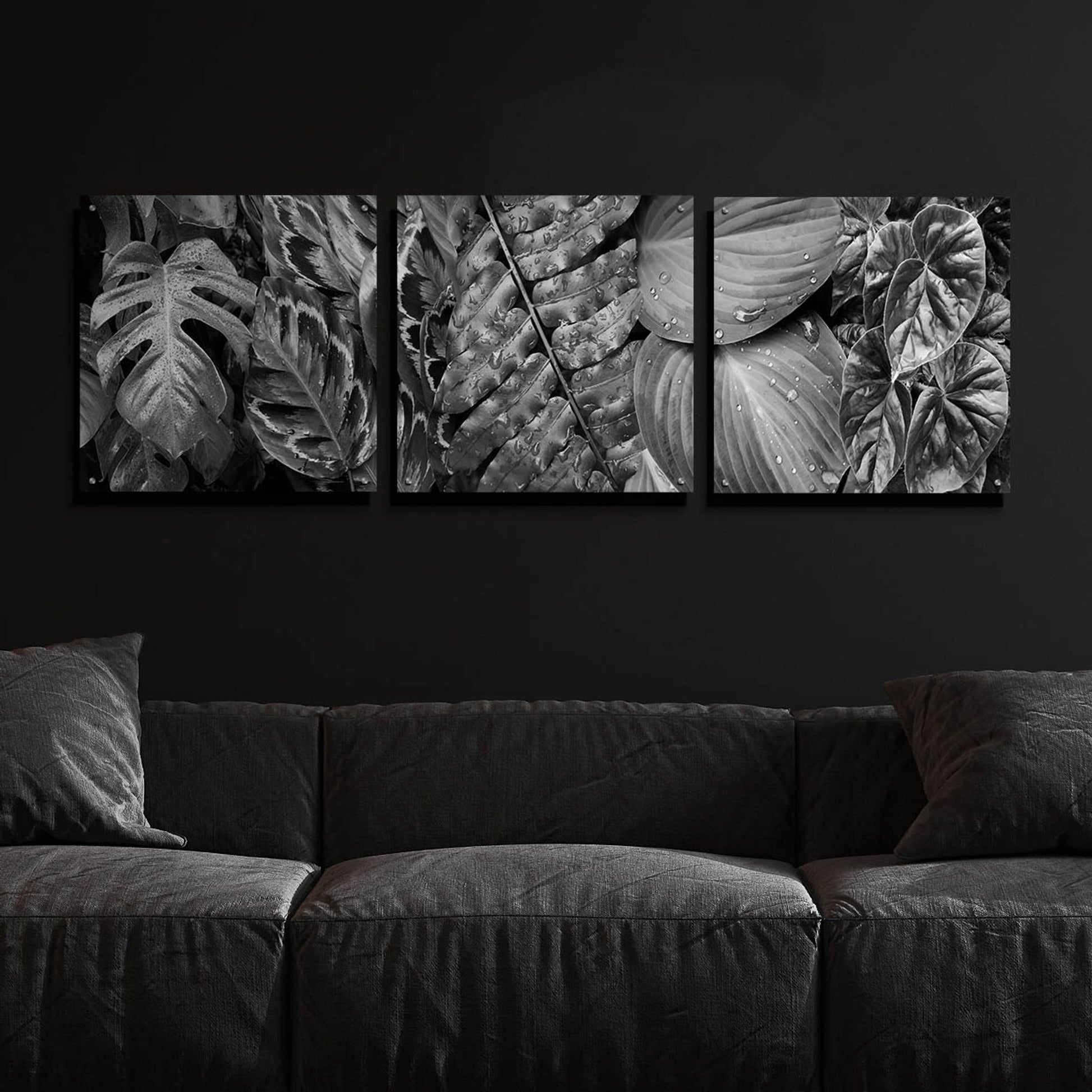 Epic Art 'Leaf Montage' by Monte Nagler, Acrylic Glass Wall Art, 3 Piece Set,72x24