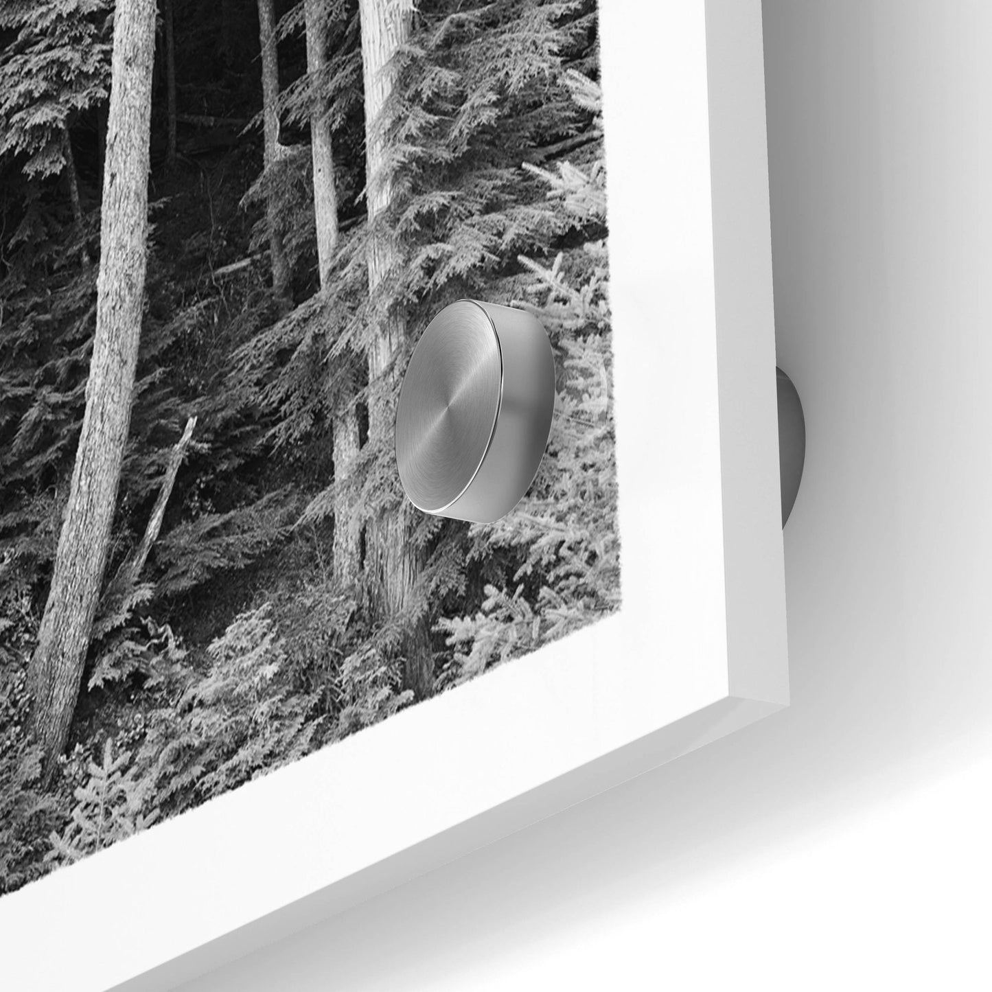 Epic Art 'Tree Montage 1' by Monte Nagler, Acrylic Glass Wall Art,36x12