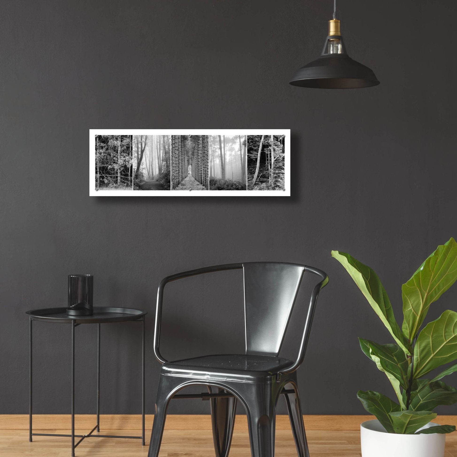 Epic Art 'Tree Montage 1' by Monte Nagler, Acrylic Glass Wall Art,36x12