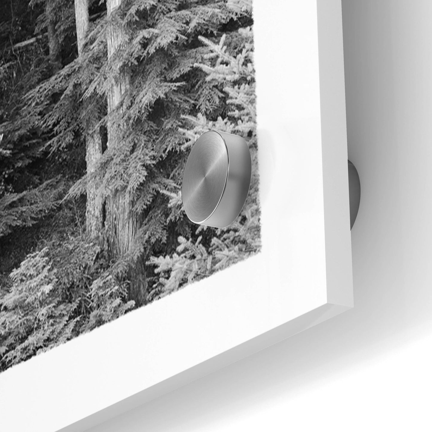 Epic Art 'Tree Montage 1' by Monte Nagler, Acrylic Glass Wall Art,48x16