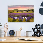 Epic Art 'Lavender Chairs, Horton Bay, Michigan 14' by Monte Nagler, Acrylic Glass Wall Art,16x12
