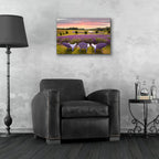 Epic Art 'Lavender Chairs, Horton Bay, Michigan 14' by Monte Nagler, Acrylic Glass Wall Art,24x16