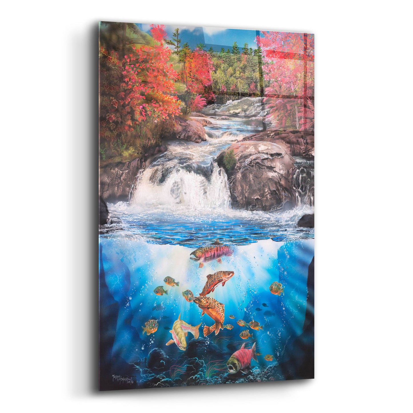 Epic Art 'Fish Falls' by Murray Henderson Fine Art, Acrylic Glass Wall Art,12x16