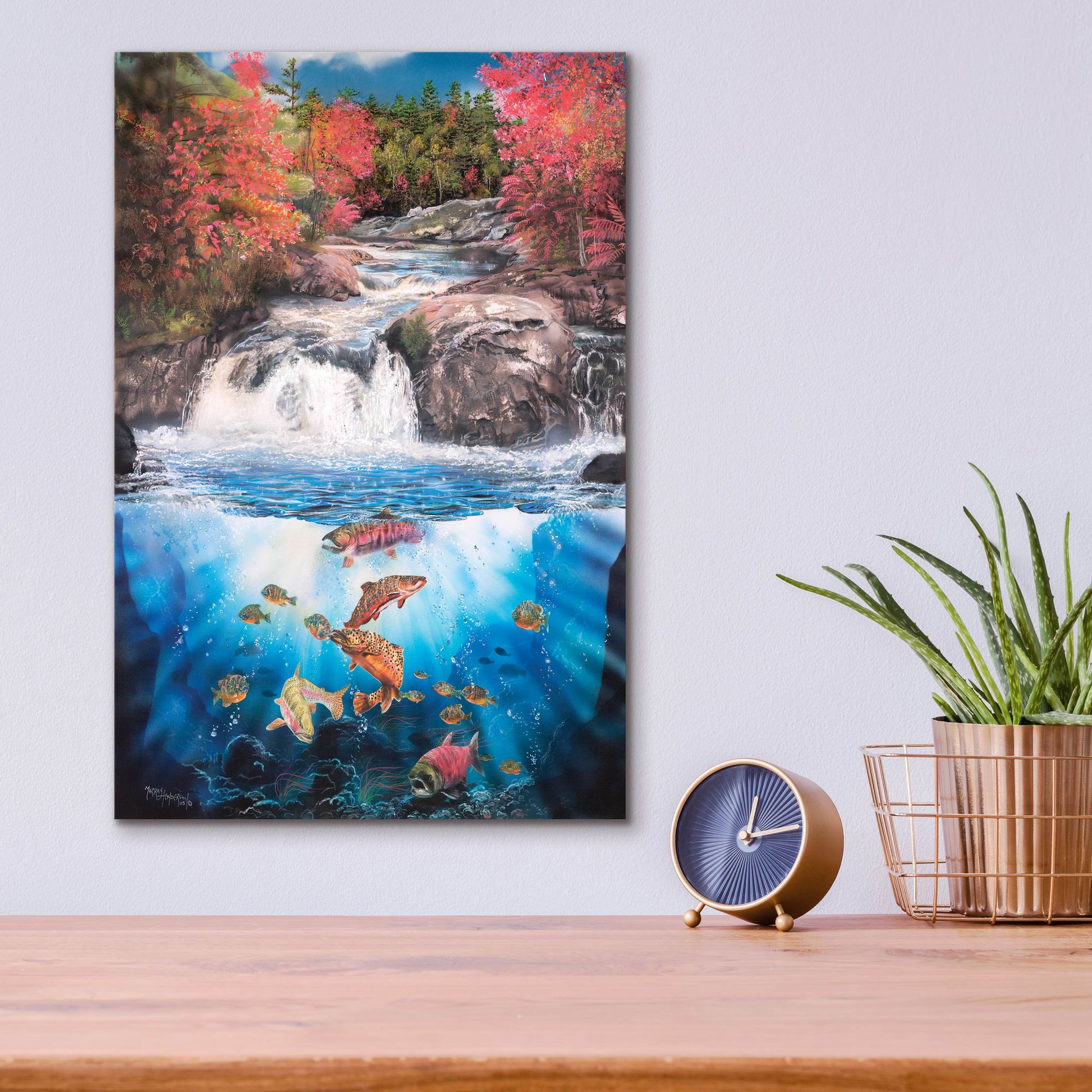 Epic Art 'Fish Falls' by Murray Henderson Fine Art, Acrylic Glass Wall Art,12x16