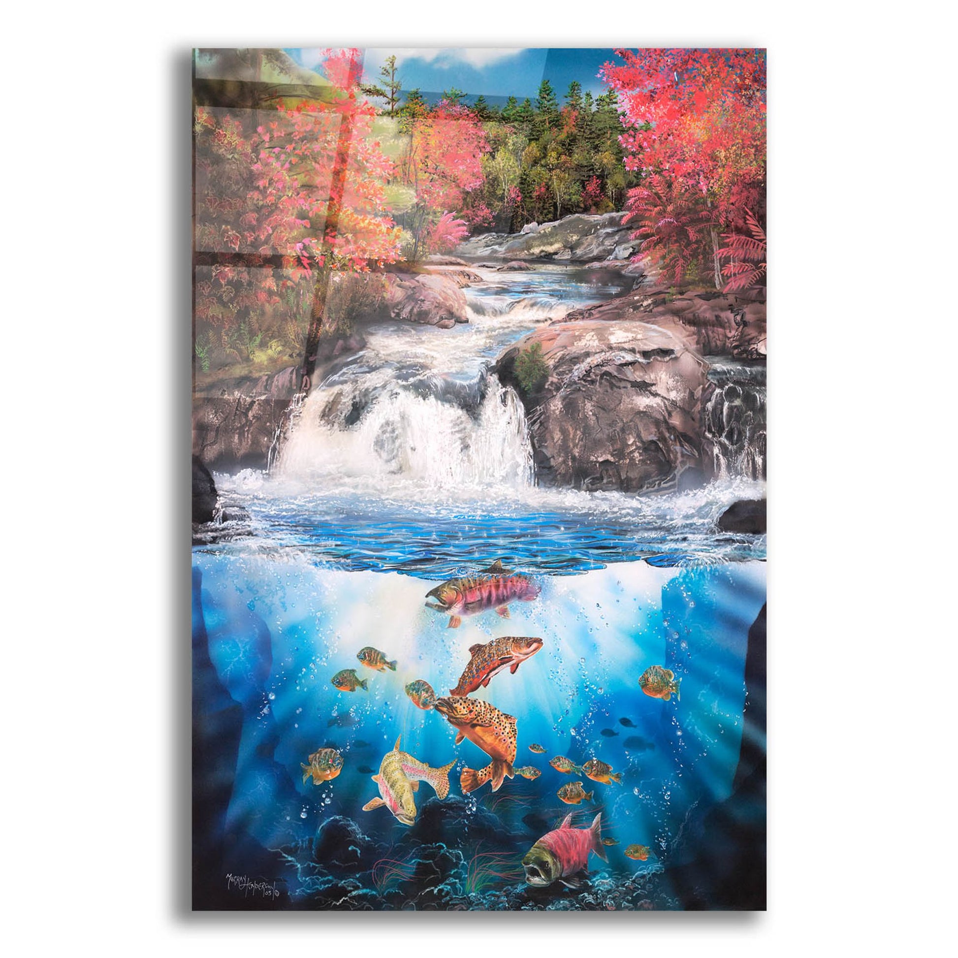 Epic Art 'Fish Falls' by Murray Henderson Fine Art, Acrylic Glass Wall Art,12x16