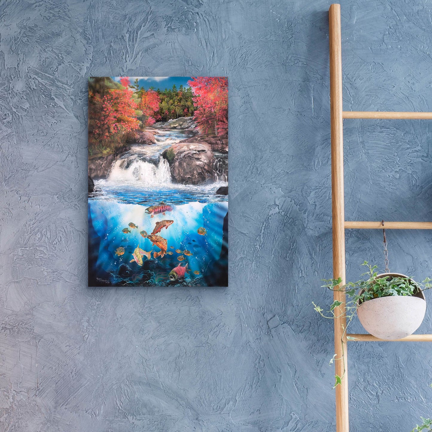 Epic Art 'Fish Falls' by Murray Henderson Fine Art, Acrylic Glass Wall Art,16x24