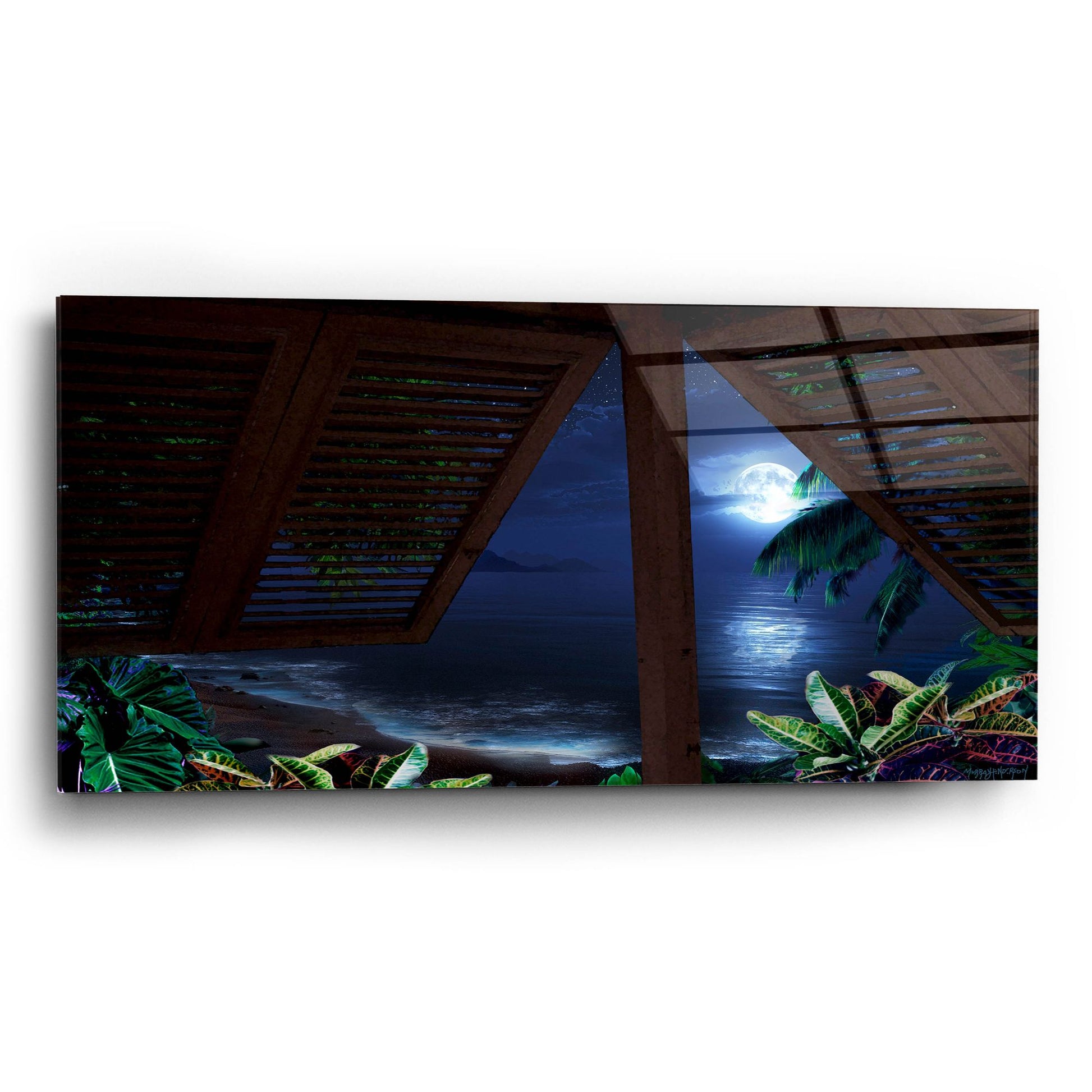 Epic Art 'Tropical Dream Moon View' by Murray Henderson Fine Art, Acrylic Glass Wall Art,24x12