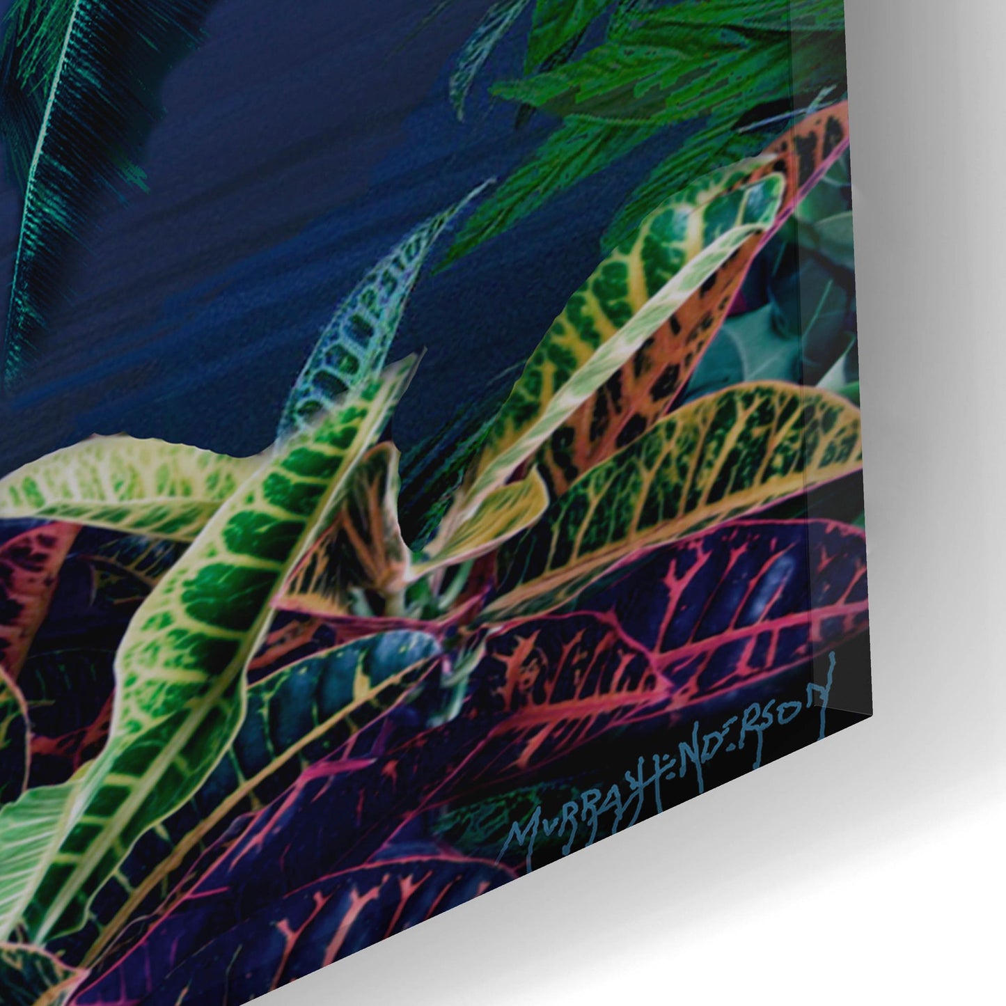 Epic Art 'Tropical Dream Moon View' by Murray Henderson Fine Art, Acrylic Glass Wall Art,24x12