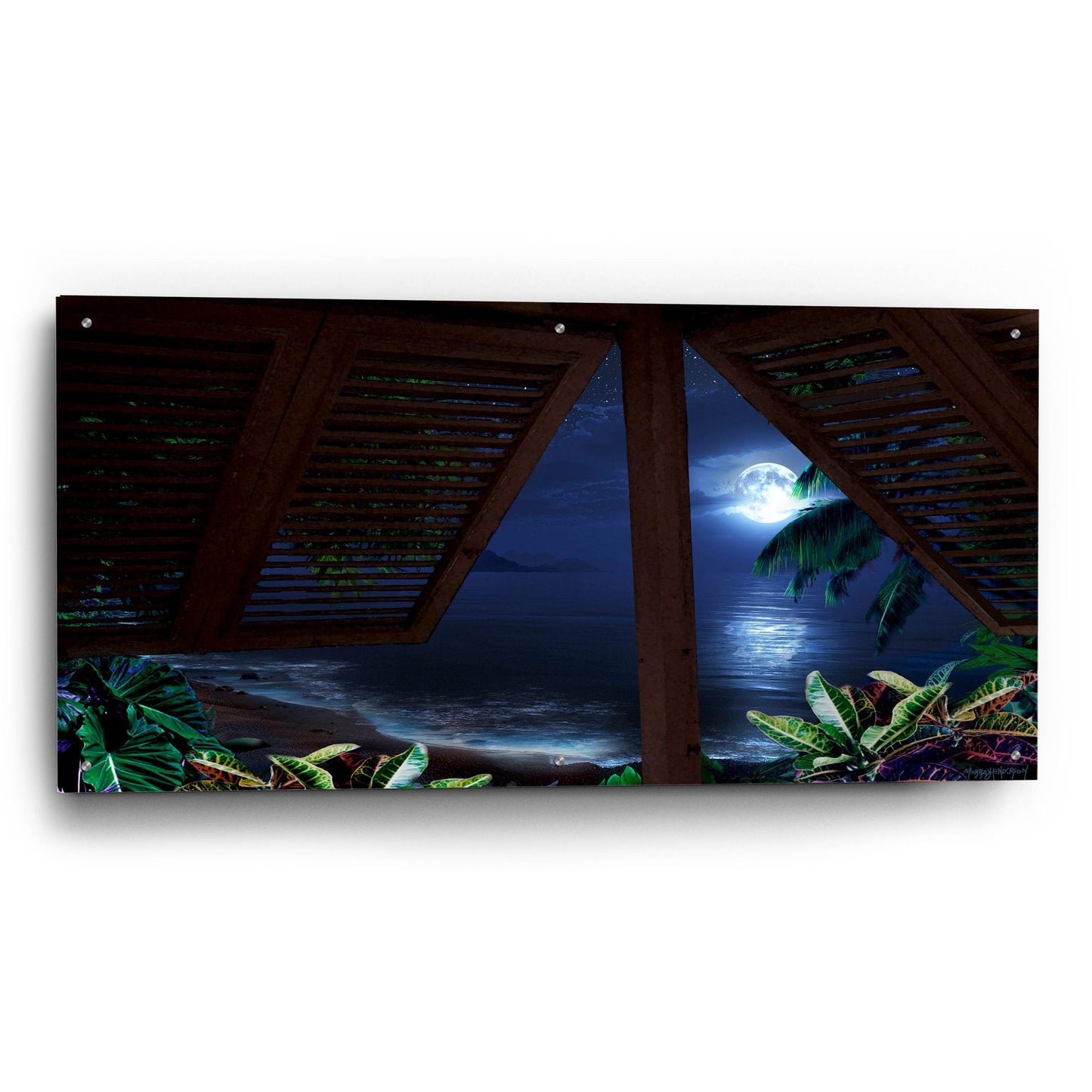 Epic Art 'Tropical Dream Moon View' by Murray Henderson Fine Art, Acrylic Glass Wall Art,48x24