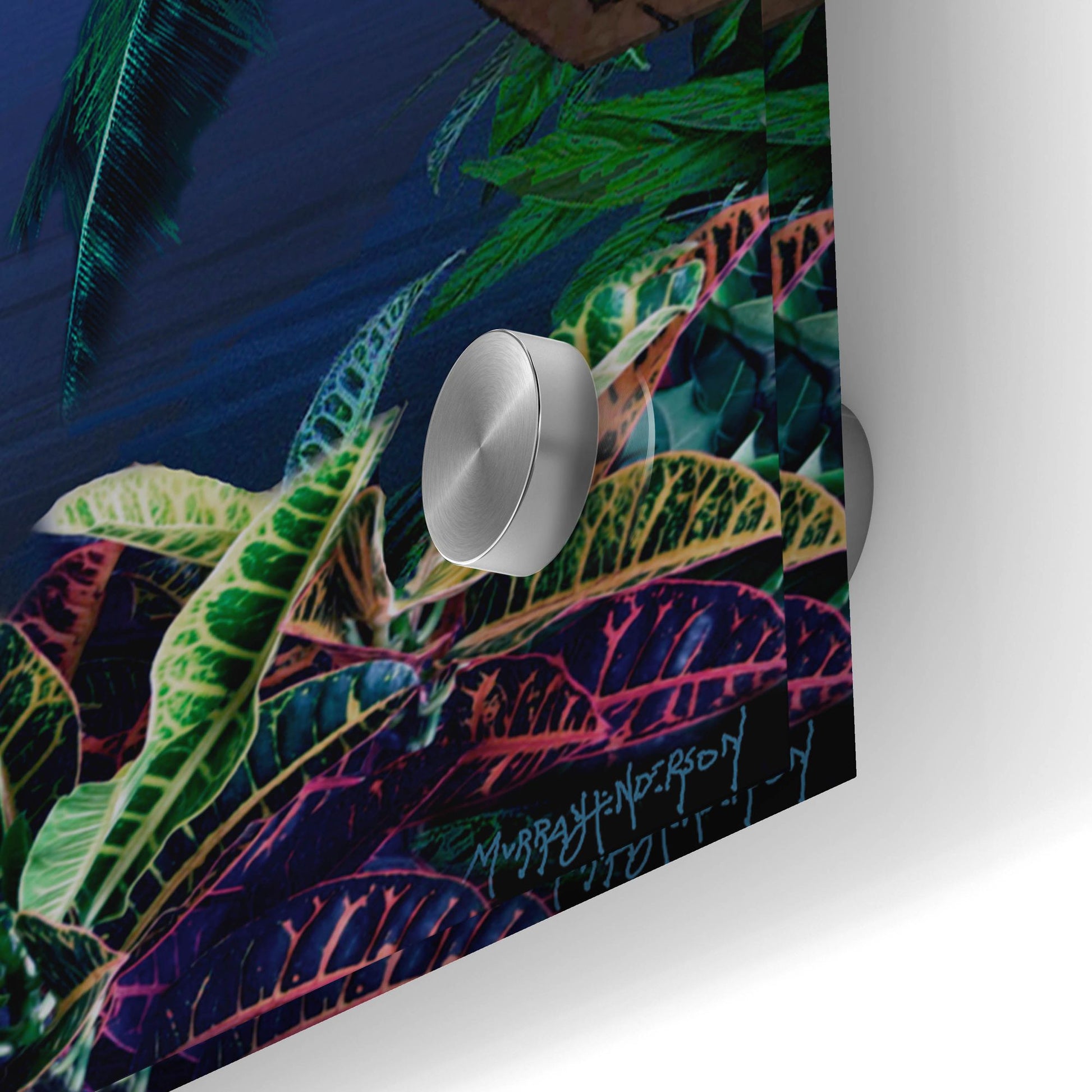 Epic Art 'Tropical Dream Moon View' by Murray Henderson Fine Art, Acrylic Glass Wall Art,48x24