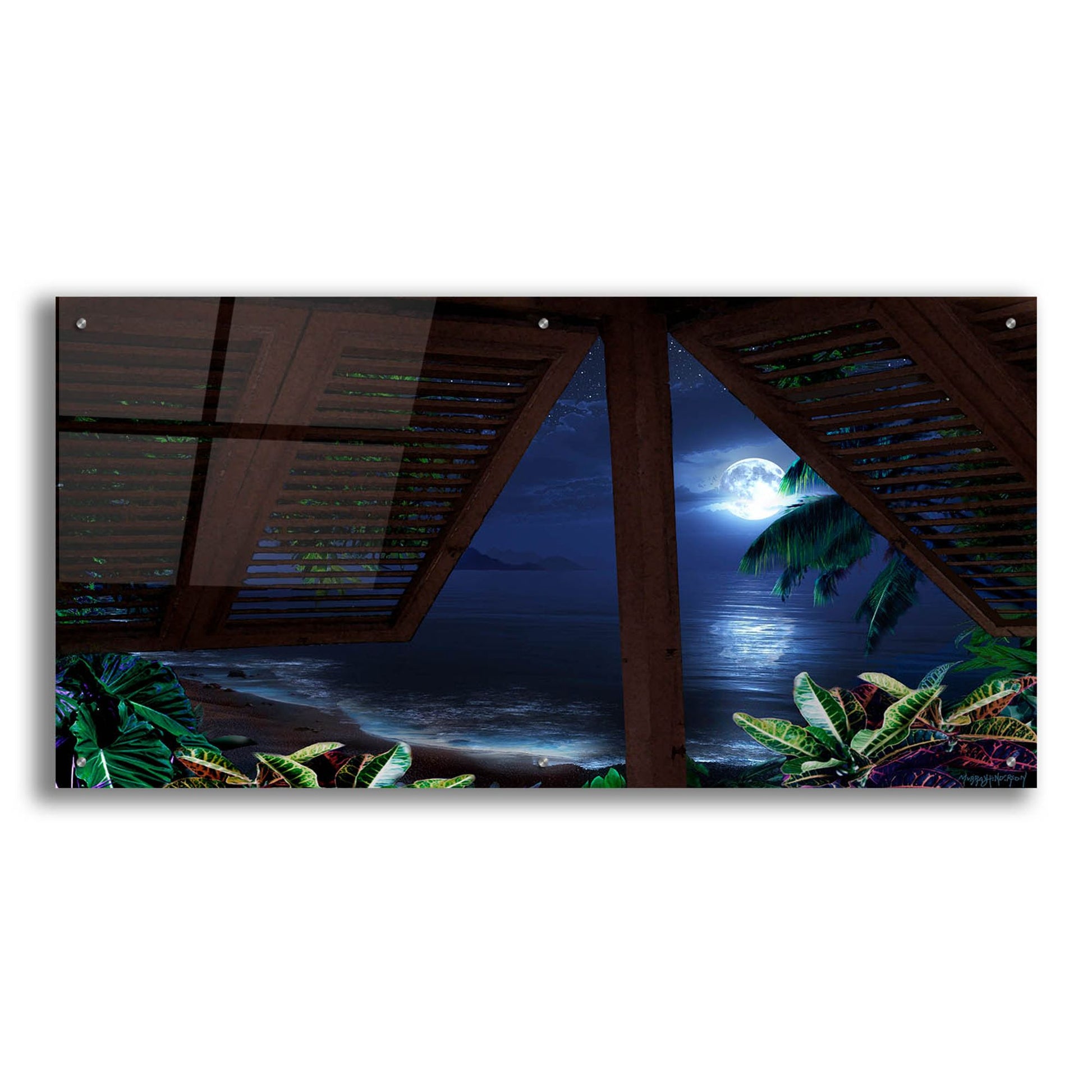 Epic Art 'Tropical Dream Moon View' by Murray Henderson Fine Art, Acrylic Glass Wall Art,48x24