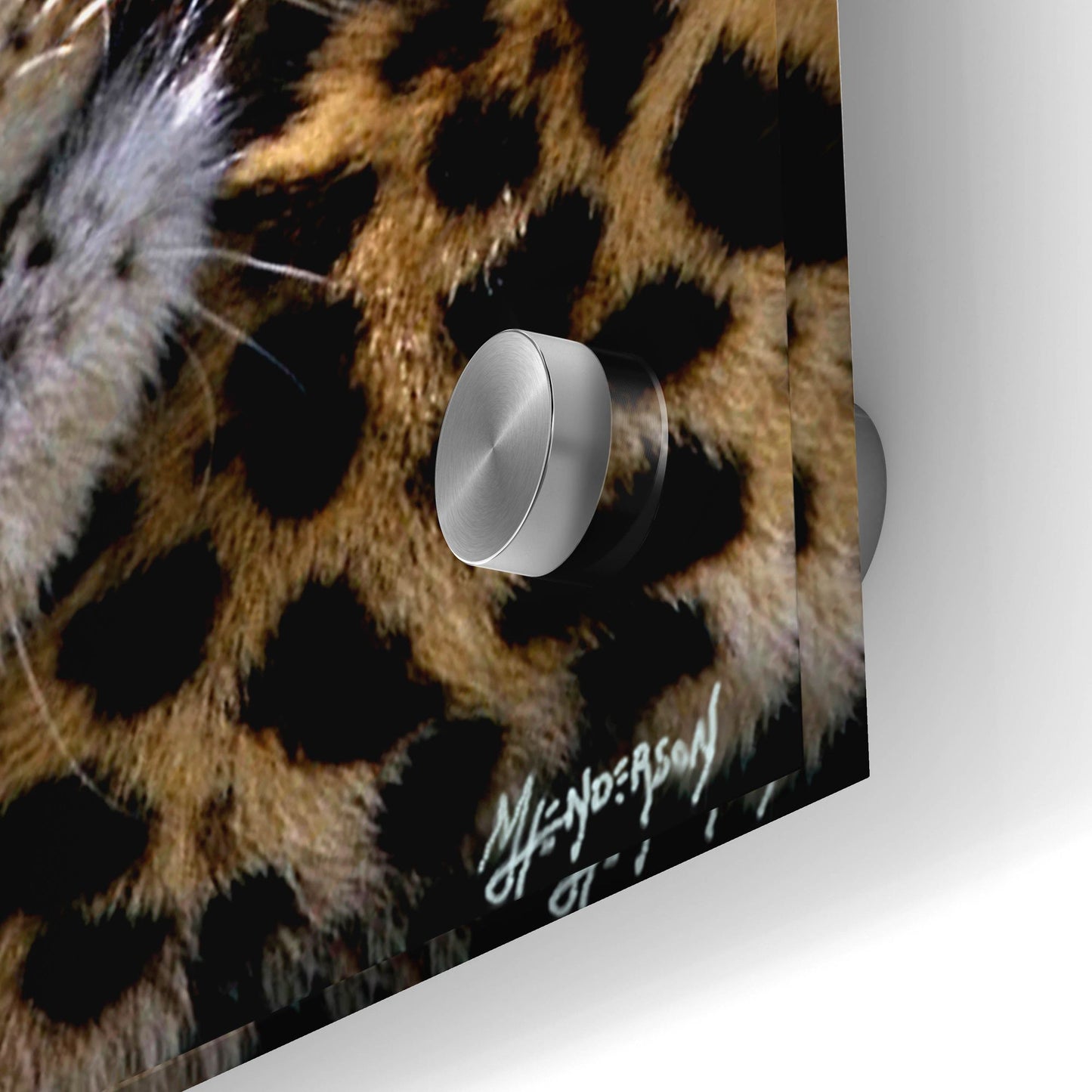 Epic Art 'Two Sleepers Cheetahs' by Murray Henderson Fine Art, Acrylic Glass Wall Art,36x12