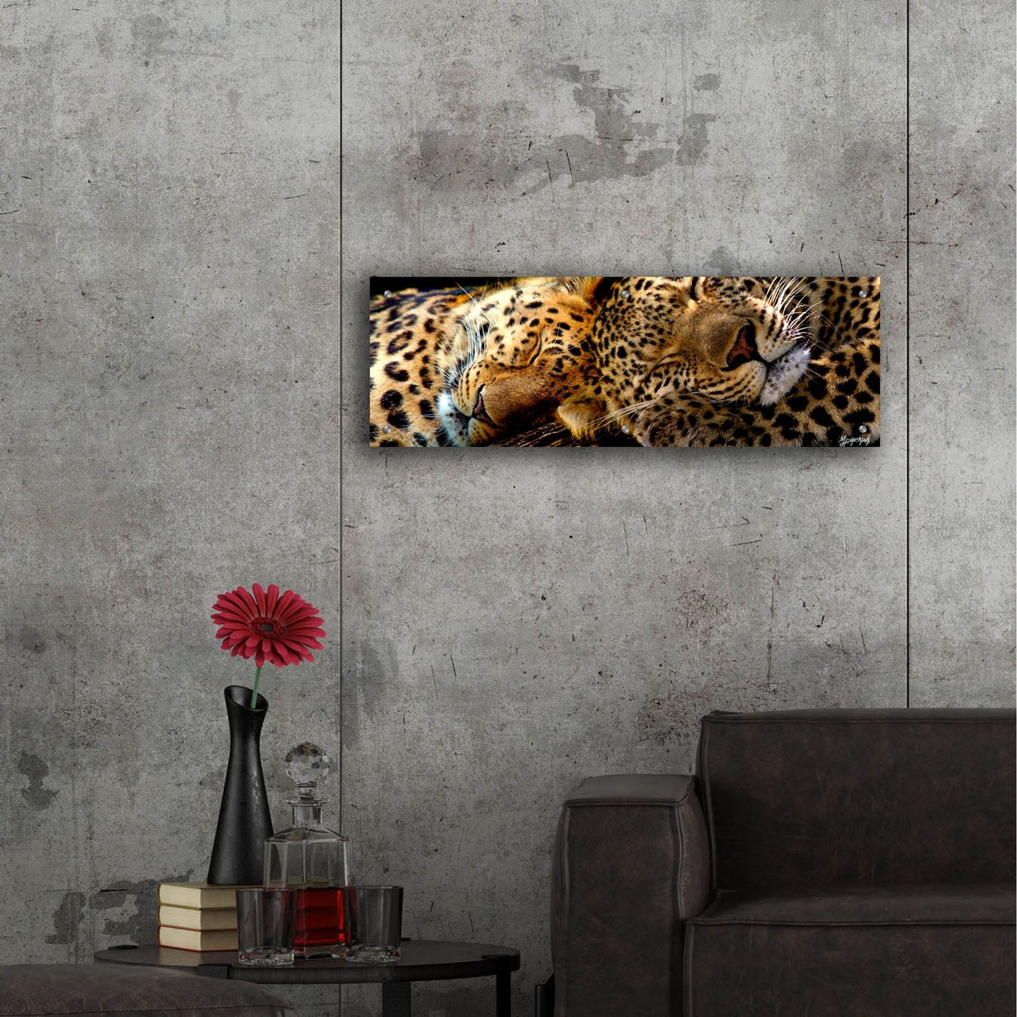 Epic Art 'Two Sleepers Cheetahs' by Murray Henderson Fine Art, Acrylic Glass Wall Art,36x12