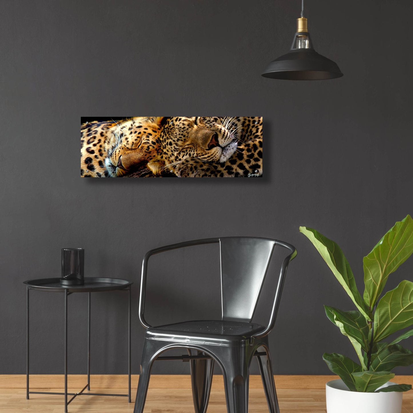 Epic Art 'Two Sleepers Cheetahs' by Murray Henderson Fine Art, Acrylic Glass Wall Art,36x12