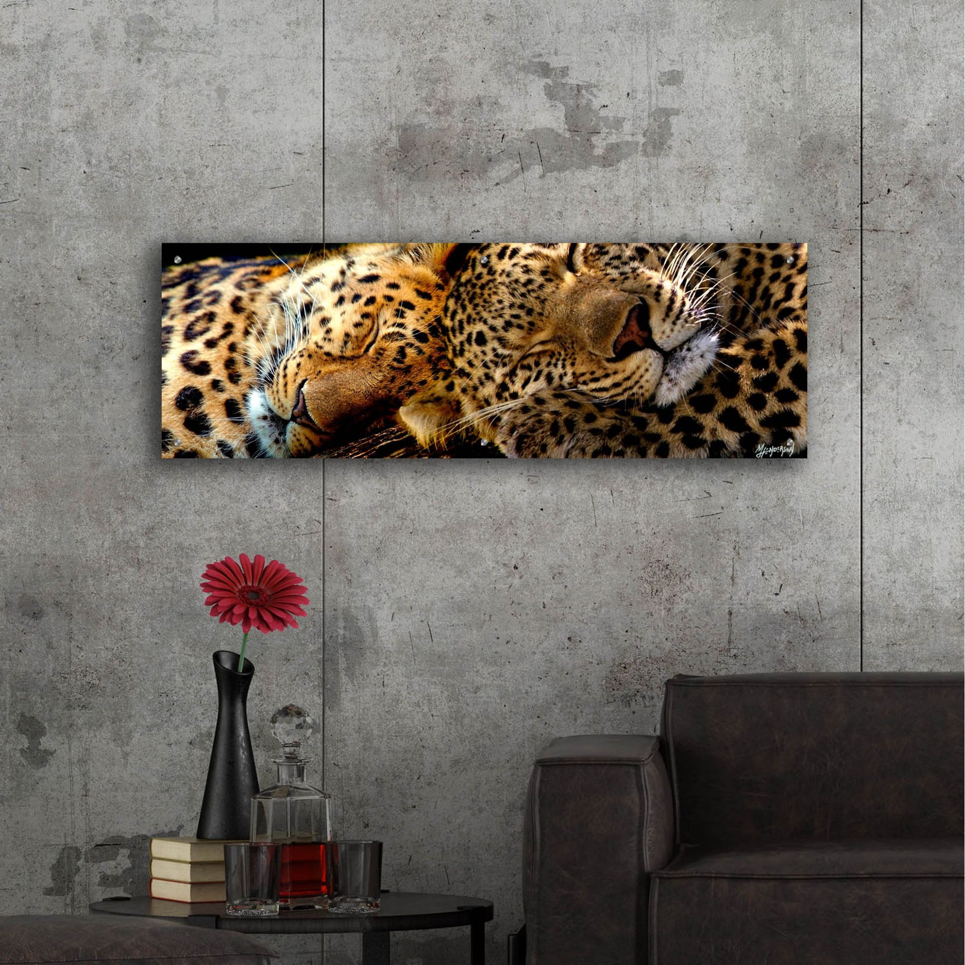 Epic Art 'Two Sleepers Cheetahs' by Murray Henderson Fine Art, Acrylic Glass Wall Art,48x16