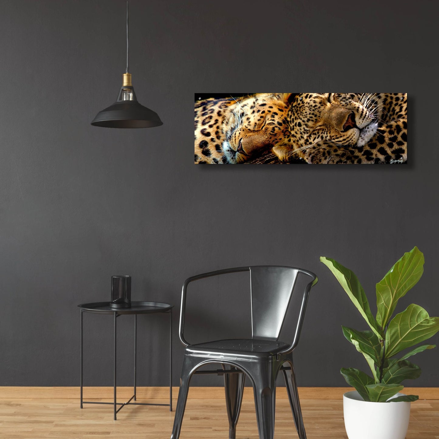 Epic Art 'Two Sleepers Cheetahs' by Murray Henderson Fine Art, Acrylic Glass Wall Art,48x16