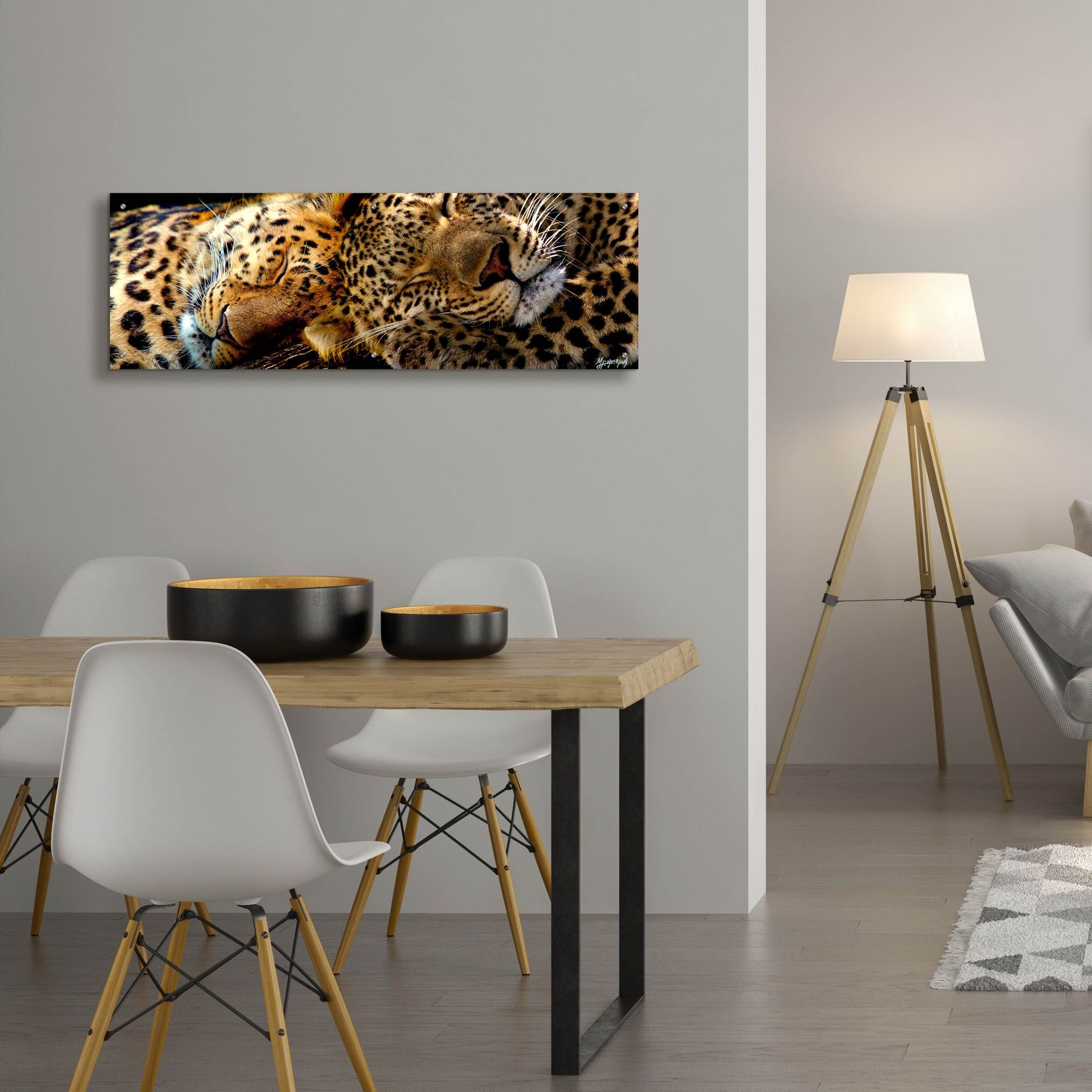 Epic Art 'Two Sleepers Cheetahs' by Murray Henderson Fine Art, Acrylic Glass Wall Art,48x16