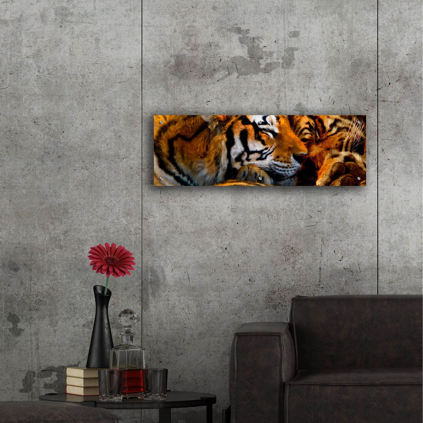 Epic Art 'Tigers Sleep' by Murray Henderson Fine Art, Acrylic Glass Wall Art,36x12