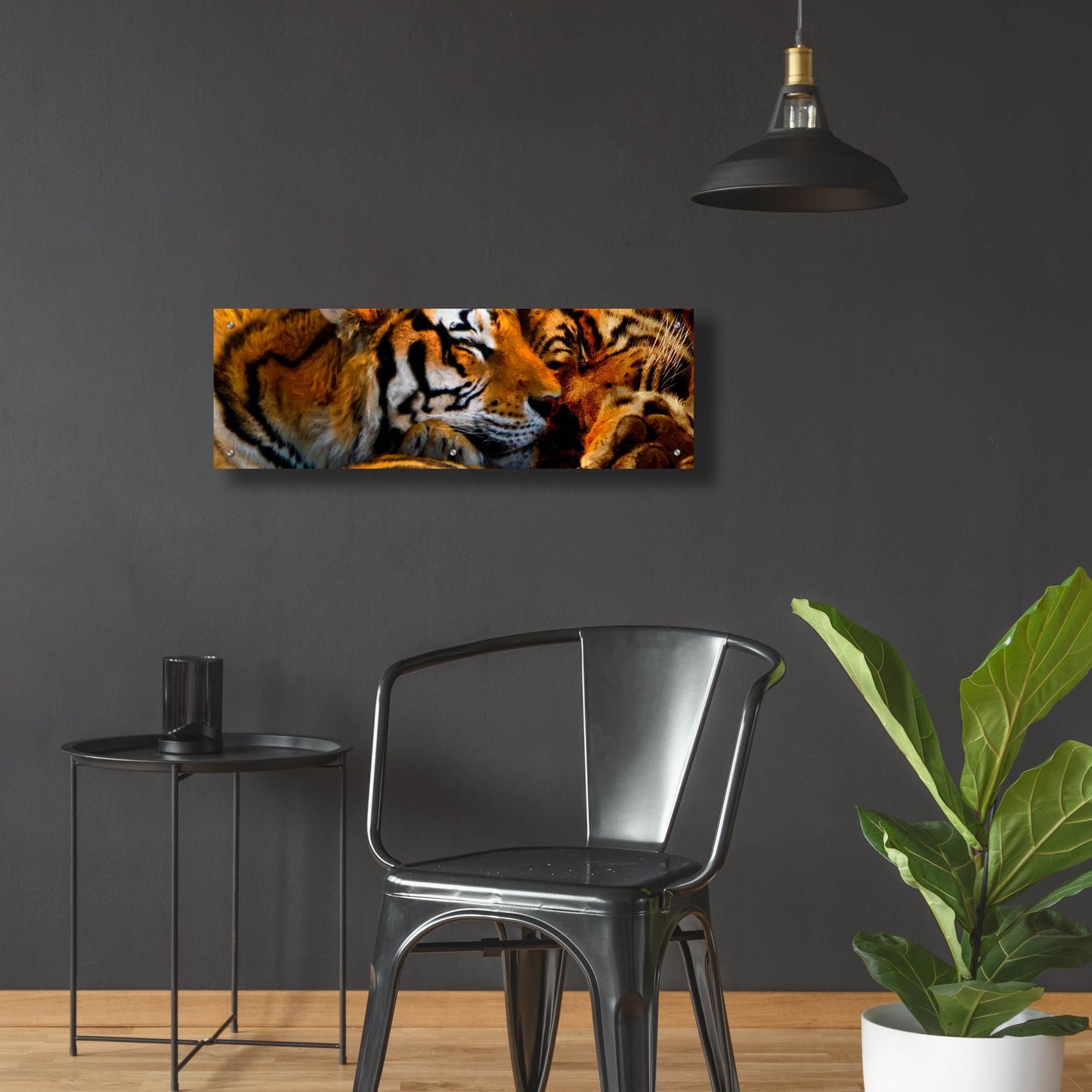 Epic Art 'Tigers Sleep' by Murray Henderson Fine Art, Acrylic Glass Wall Art,36x12