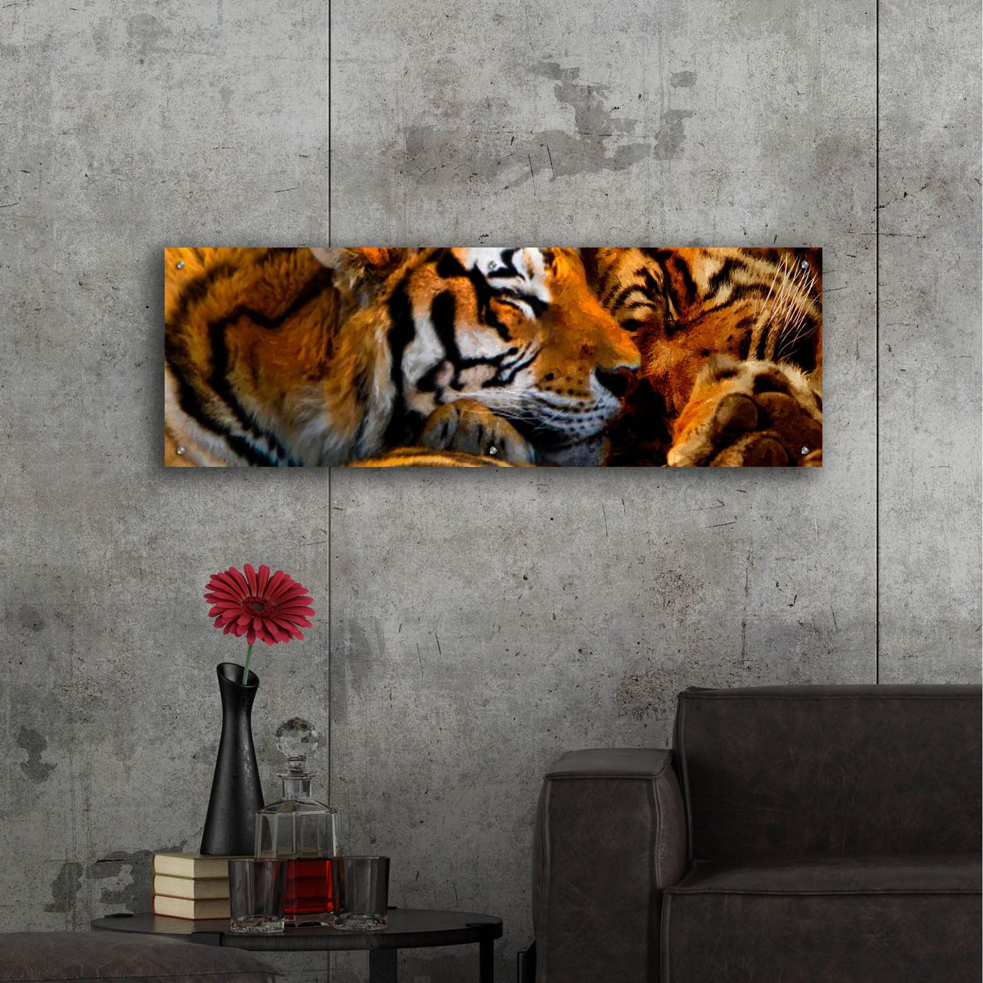 Epic Art 'Tigers Sleep' by Murray Henderson Fine Art, Acrylic Glass Wall Art,48x16