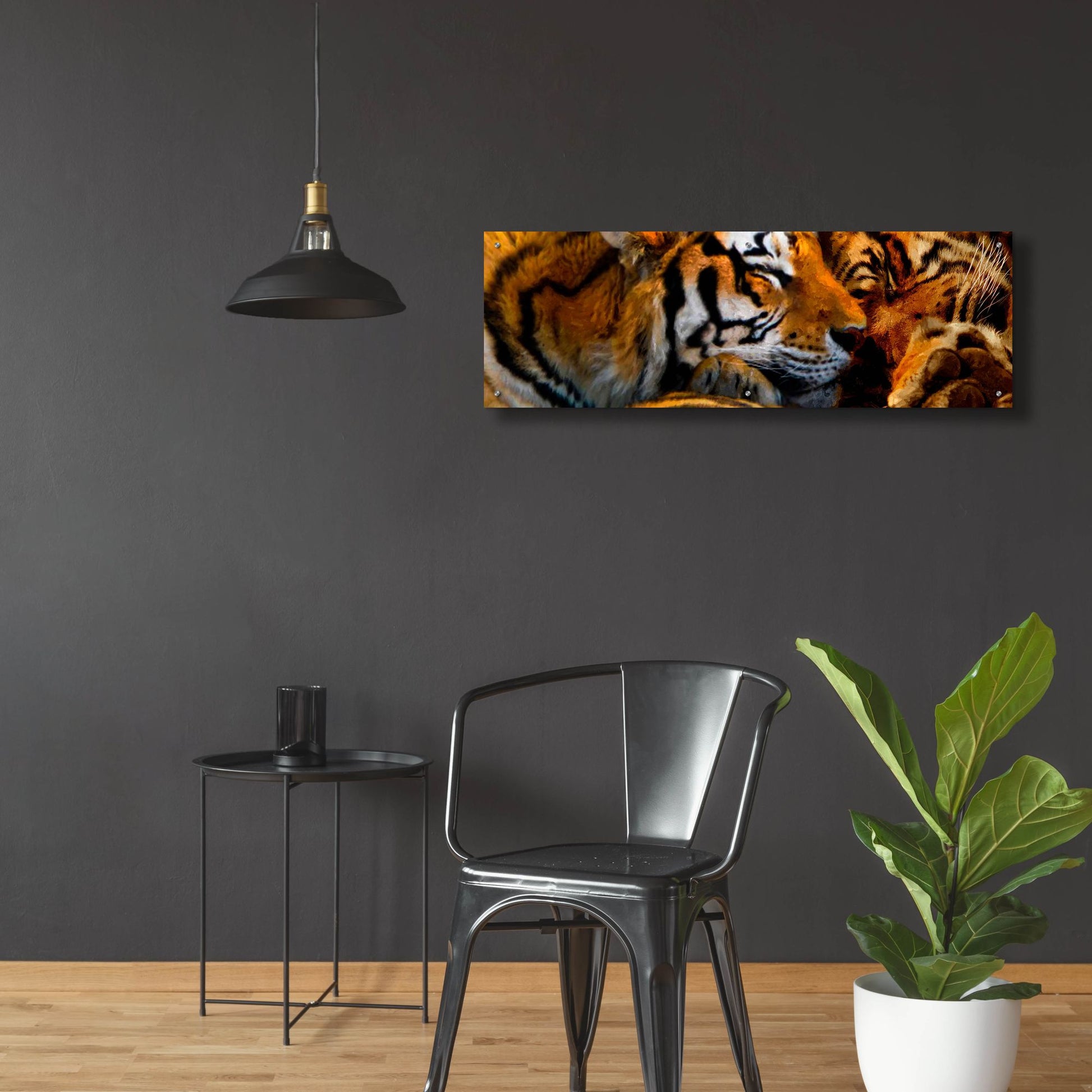 Epic Art 'Tigers Sleep' by Murray Henderson Fine Art, Acrylic Glass Wall Art,48x16