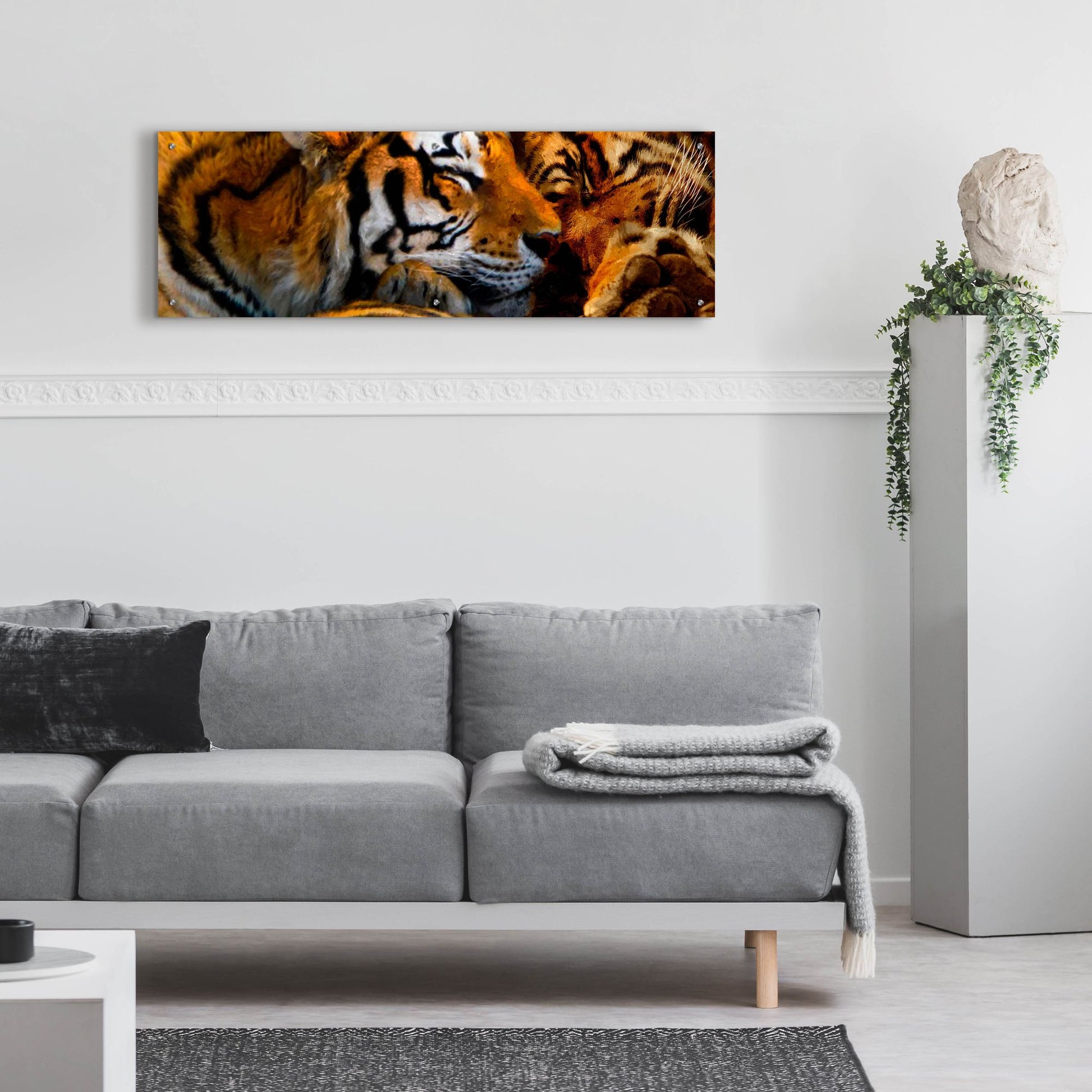 Epic Art 'Tigers Sleep' by Murray Henderson Fine Art, Acrylic Glass Wall Art,48x16