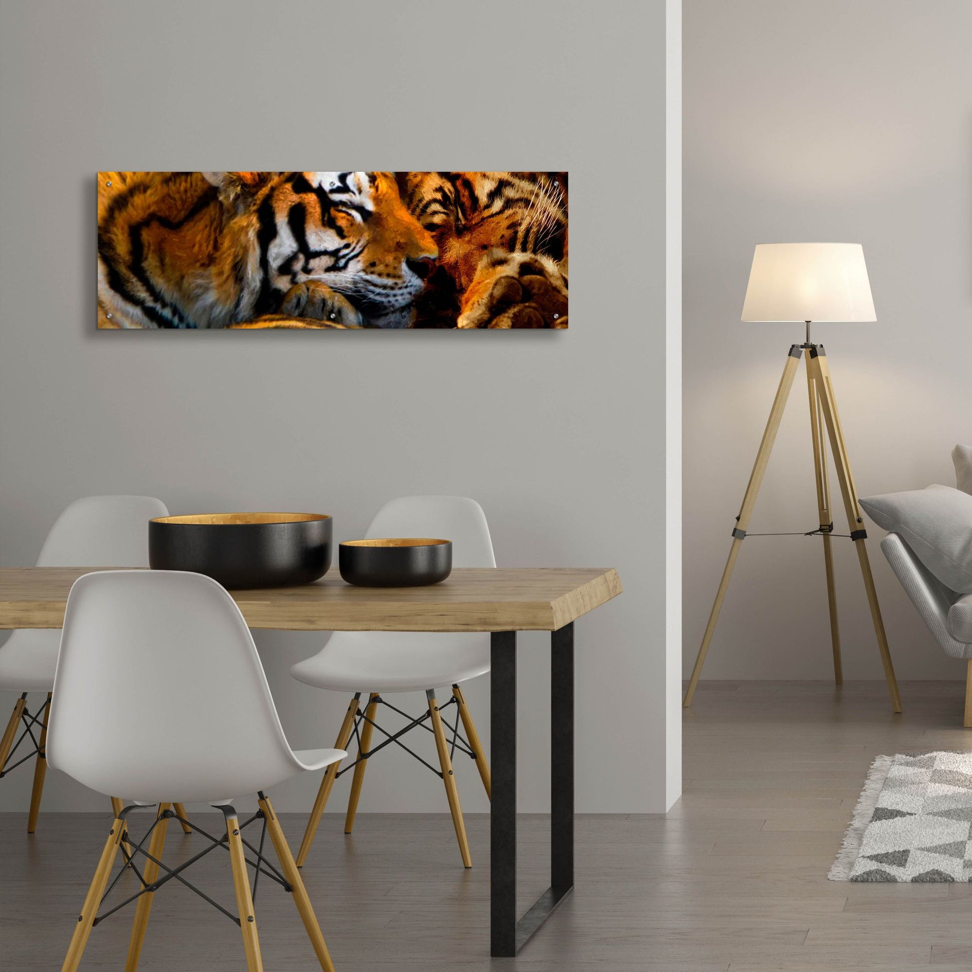 Epic Art 'Tigers Sleep' by Murray Henderson Fine Art, Acrylic Glass Wall Art,48x16