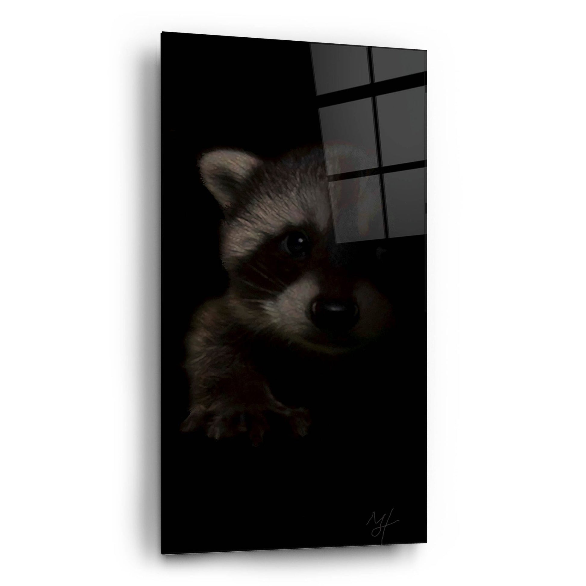 Epic Art 'Bandit' by Murray Henderson Fine Art, Acrylic Glass Wall Art,12x24