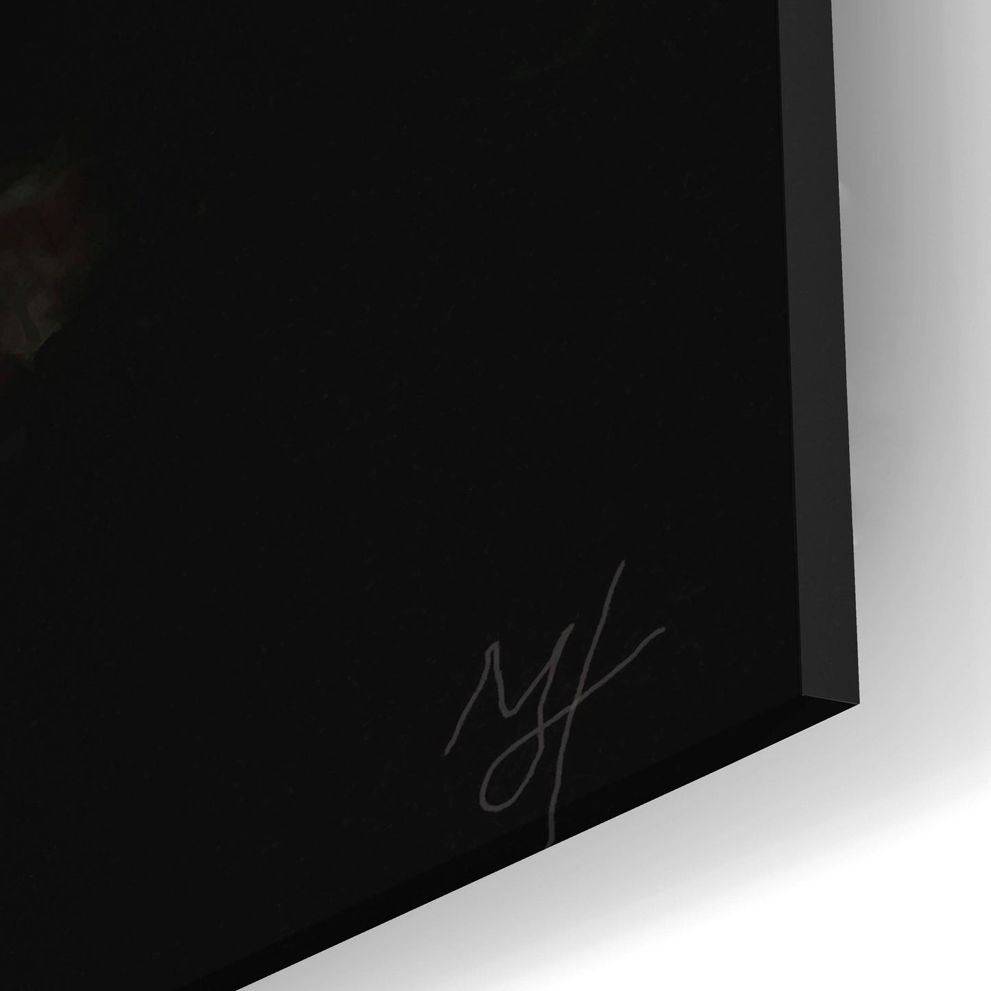 Epic Art 'Bandit' by Murray Henderson Fine Art, Acrylic Glass Wall Art,12x24