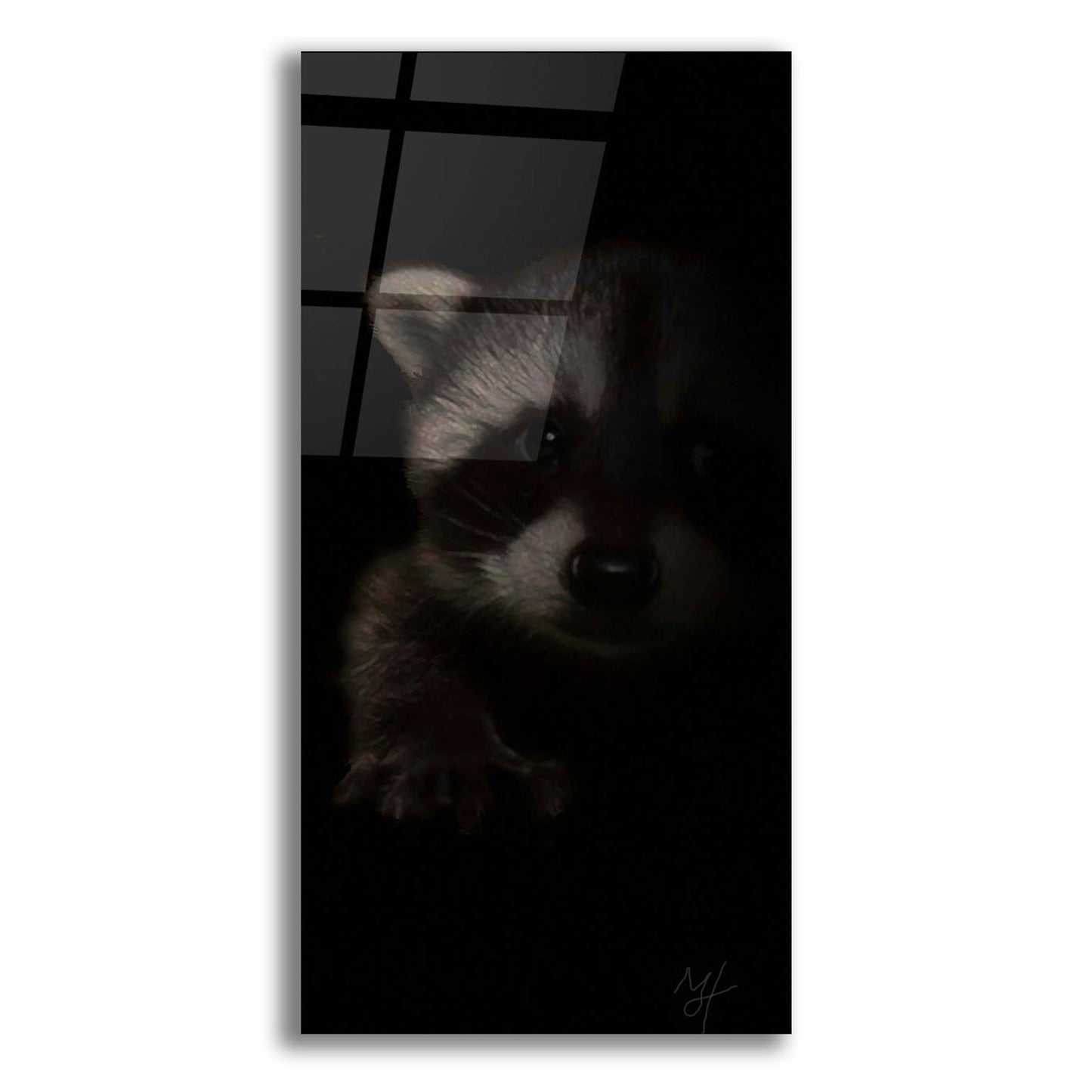 Epic Art 'Bandit' by Murray Henderson Fine Art, Acrylic Glass Wall Art,12x24