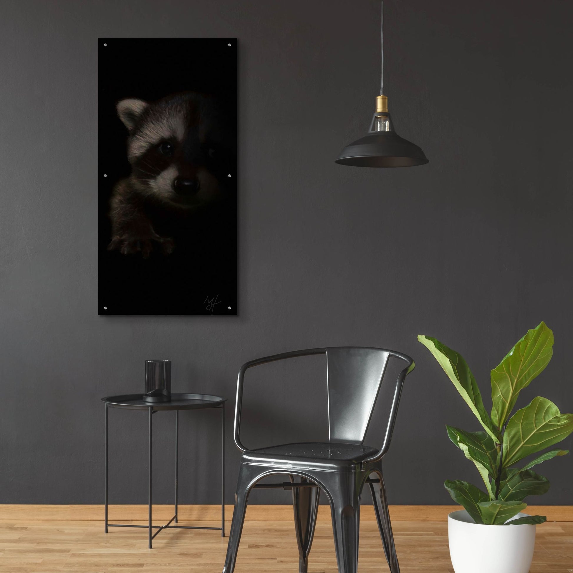 Epic Art 'Bandit' by Murray Henderson Fine Art, Acrylic Glass Wall Art,24x48