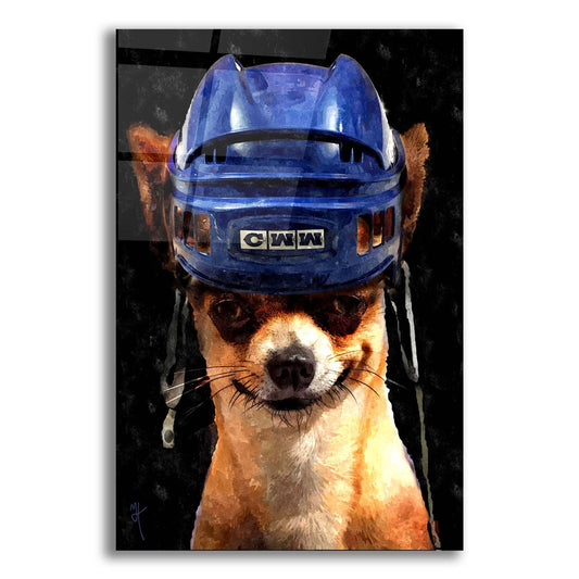 Epic Art 'Chiwana Go' by Murray Henderson Fine Art, Acrylic Glass Wall Art