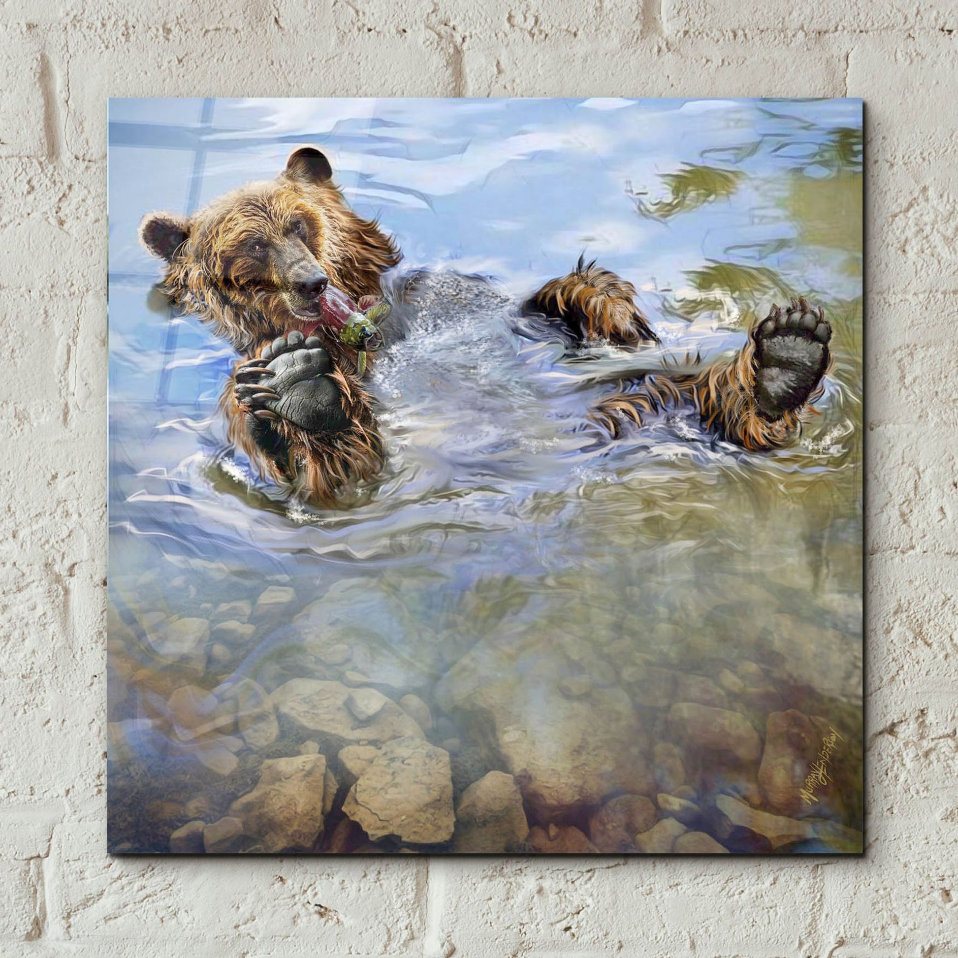 Epic Art 'Bear Bath' by Murray Henderson Fine Art, Acrylic Glass Wall Art,12x12